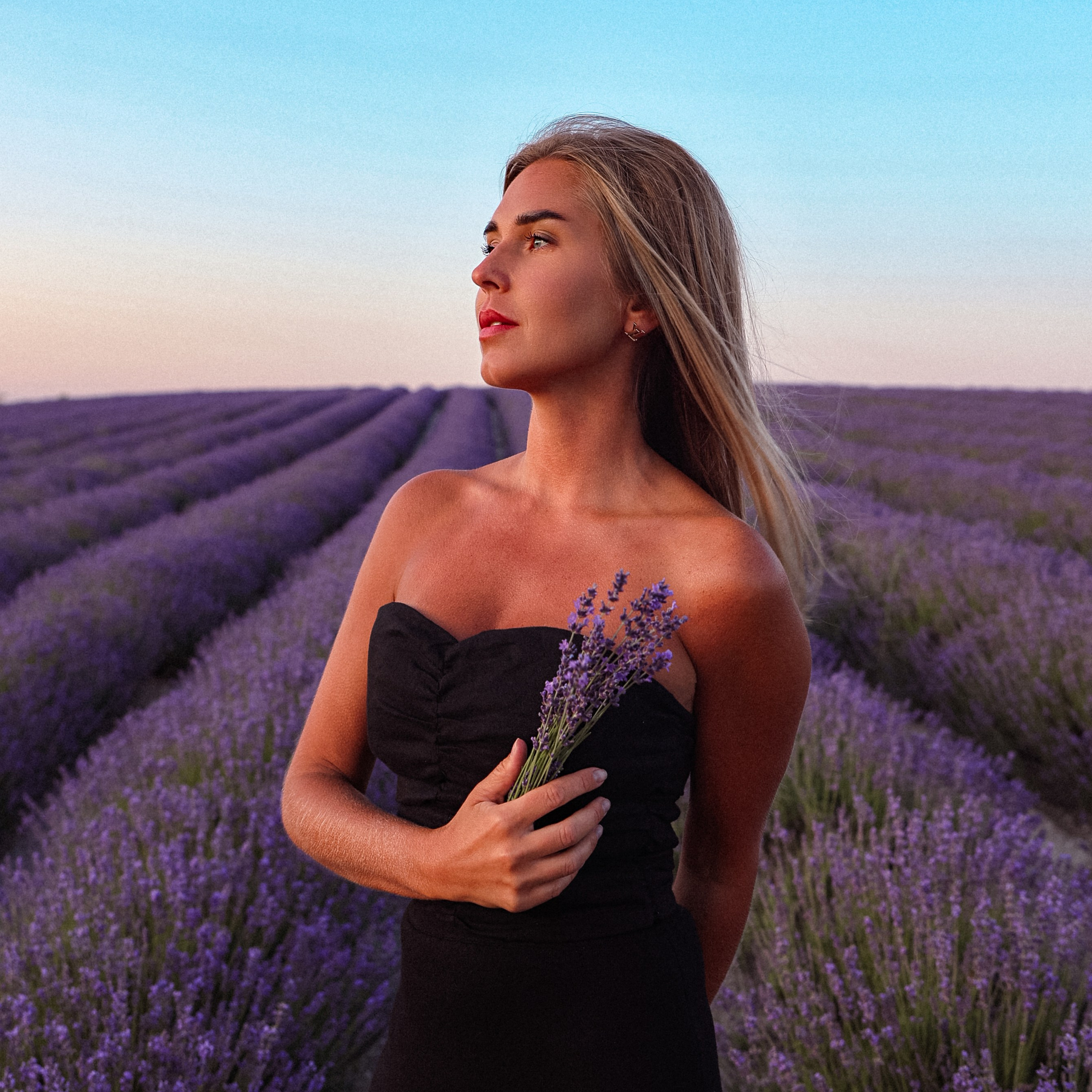 Мария: лаванда