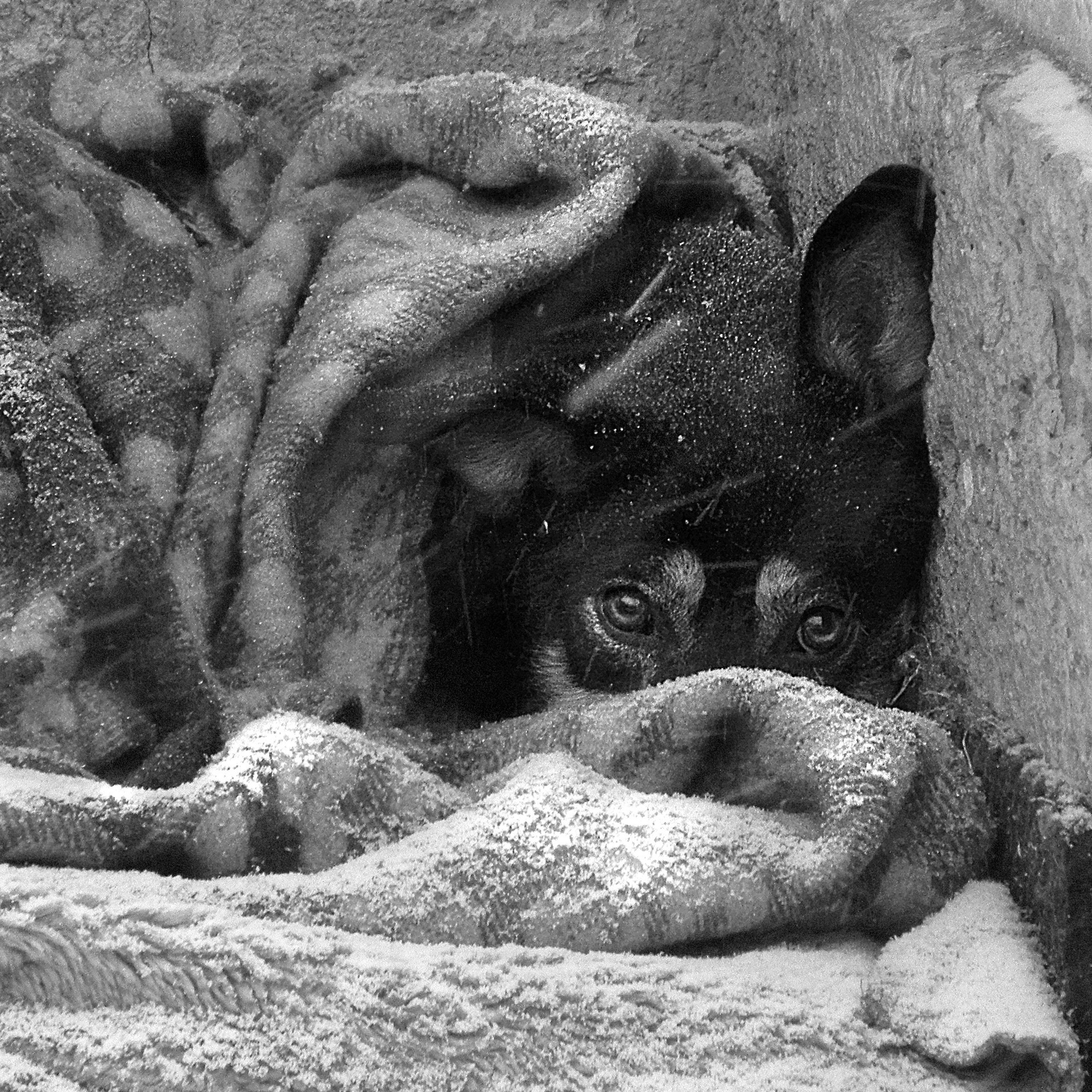 Отзывы. Фотограф Юрий Рефар