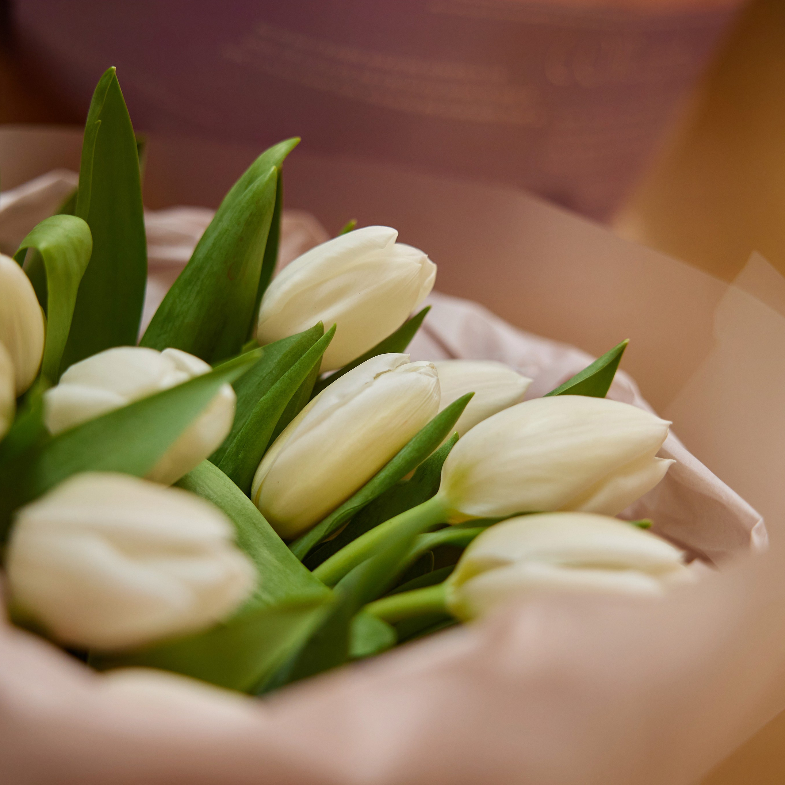 ФОТОГРАФ Омск Артём Руднев. Разножанровый Фотограф в Омске Артём Руднев