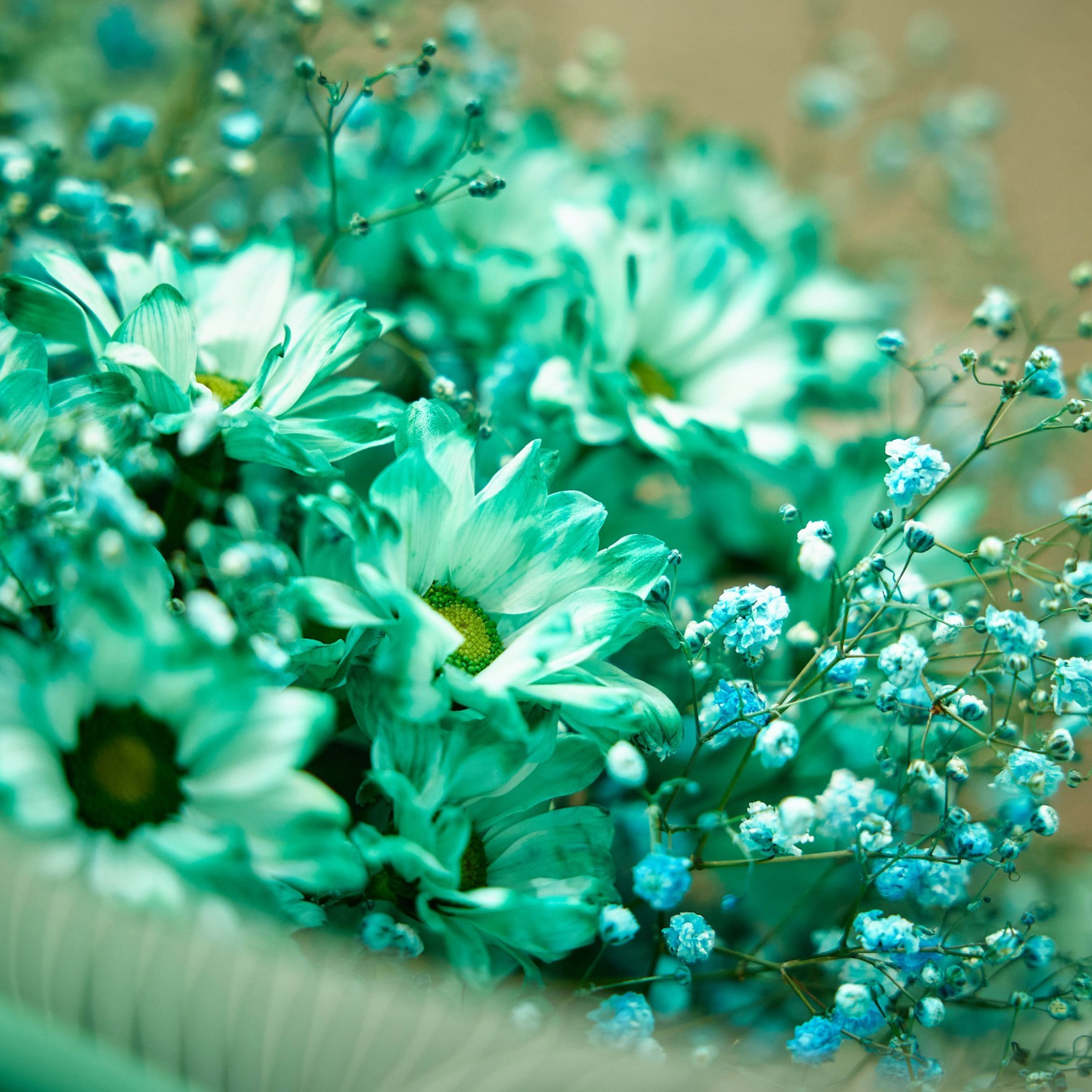 ФОТОГРАФ Омск Артём Руднев. Разножанровый Фотограф в Омске Артём Руднев