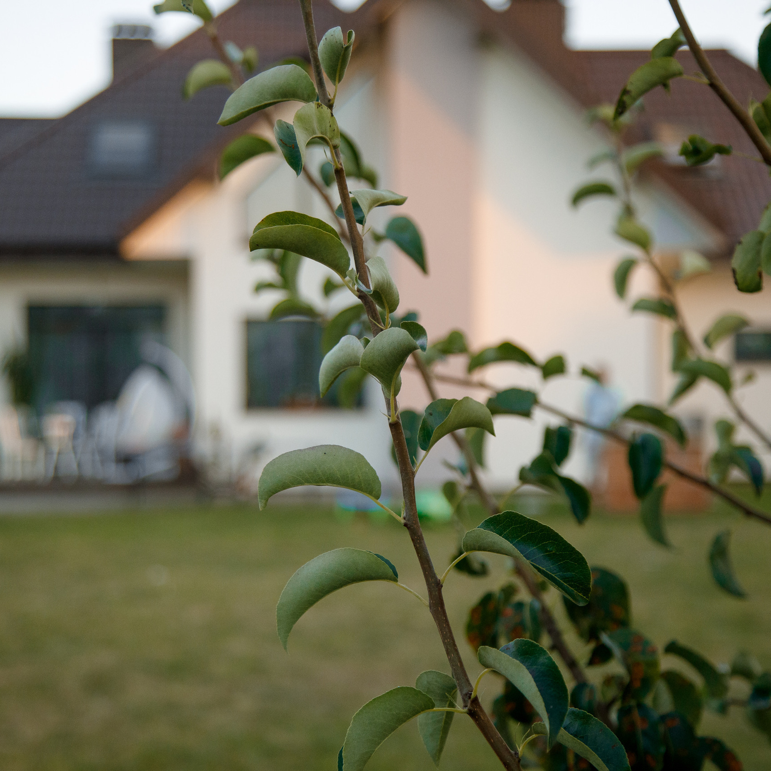 Отзывы. Репортажный фотограф Александр Задорин, Минск, Беларусь