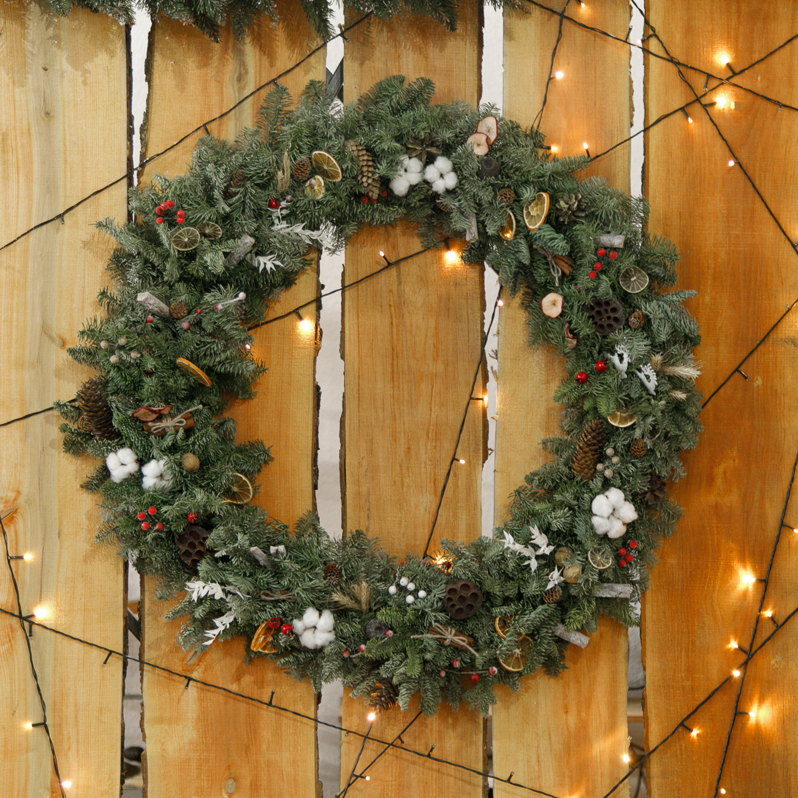 Отзывы. Репортажный фотограф Александр Задорин, Минск, Беларусь