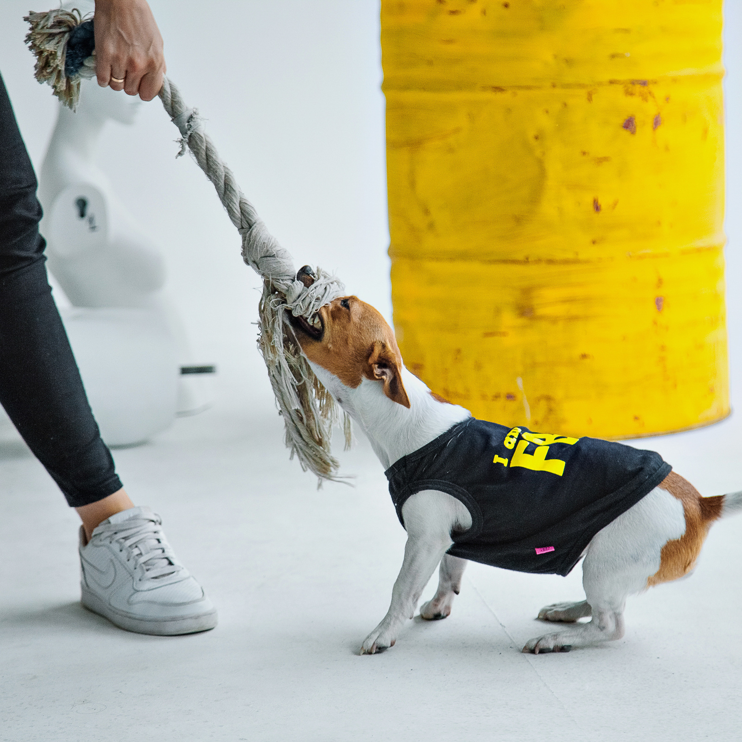 Дима & Настя