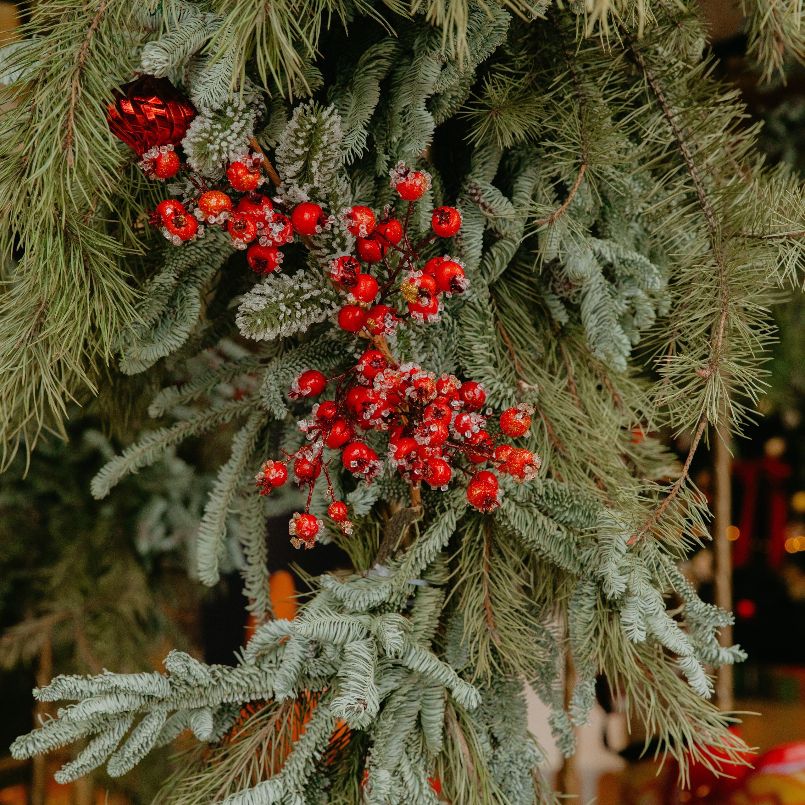 Новогодняя Сказка