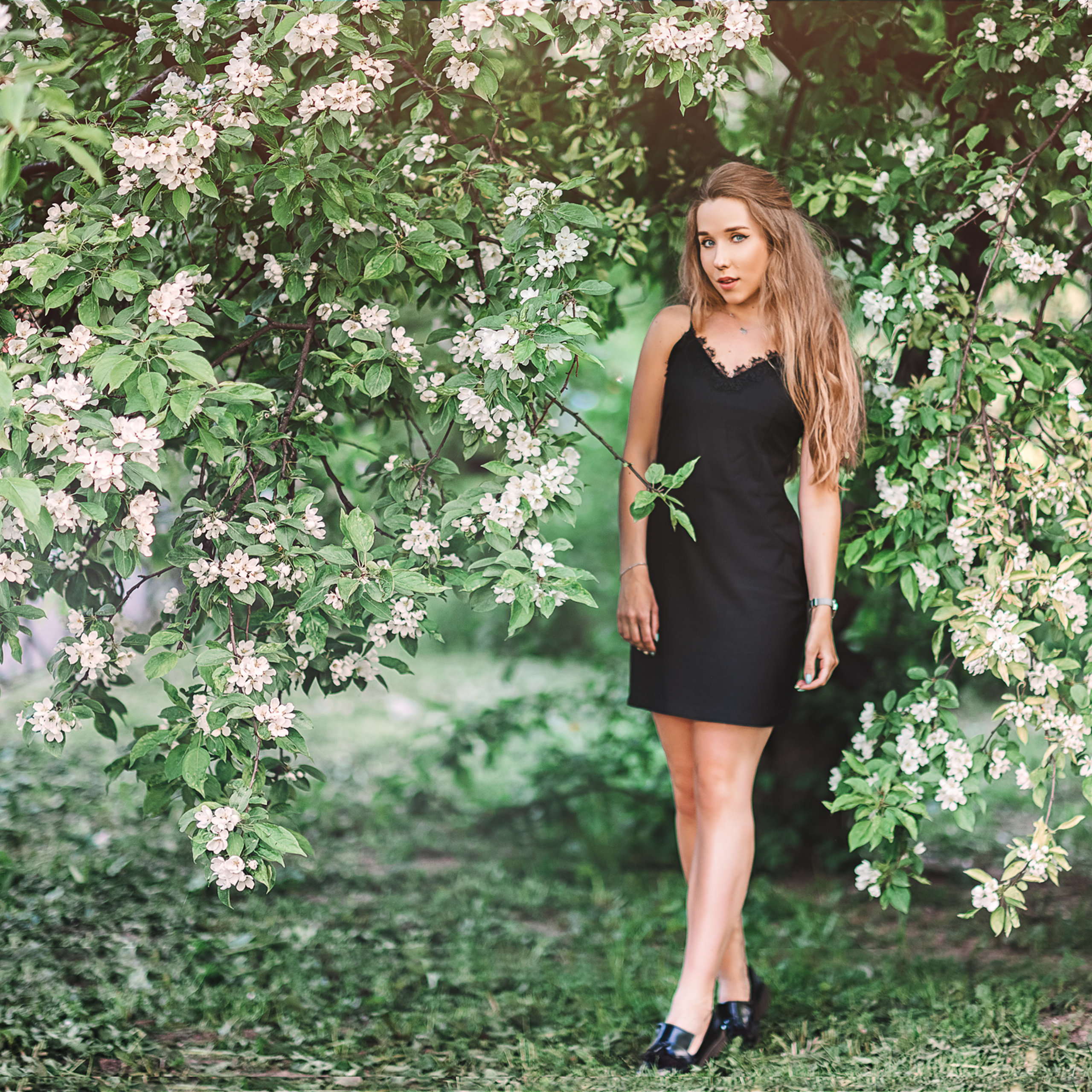 Анна (яблони). Фотограф в Санкт-Петербурге Наталья Прядильщикова