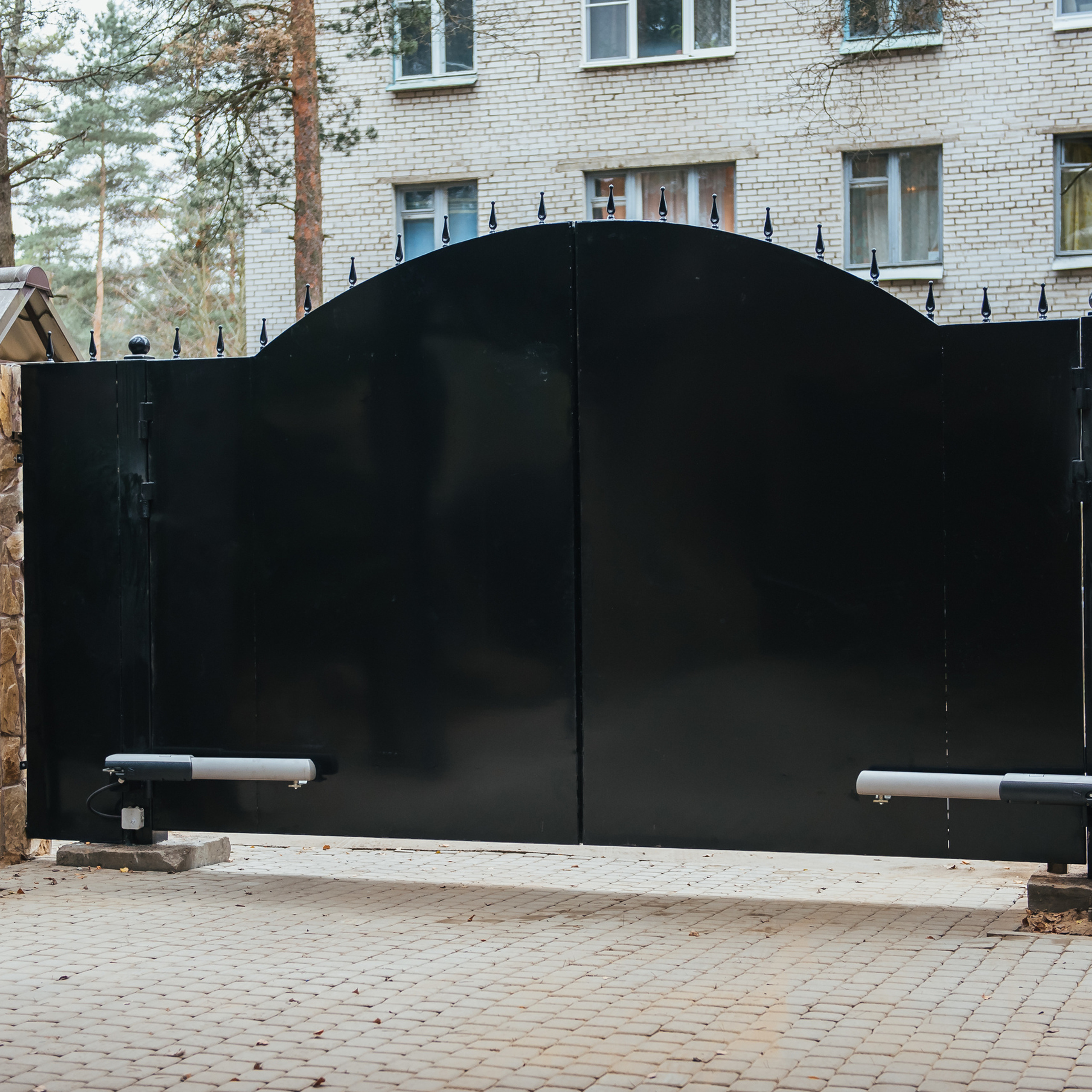 Алексей и Дарья (27 октября 2017г.). Фотограф в Санкт-Петербурге Наталья Прядильщикова