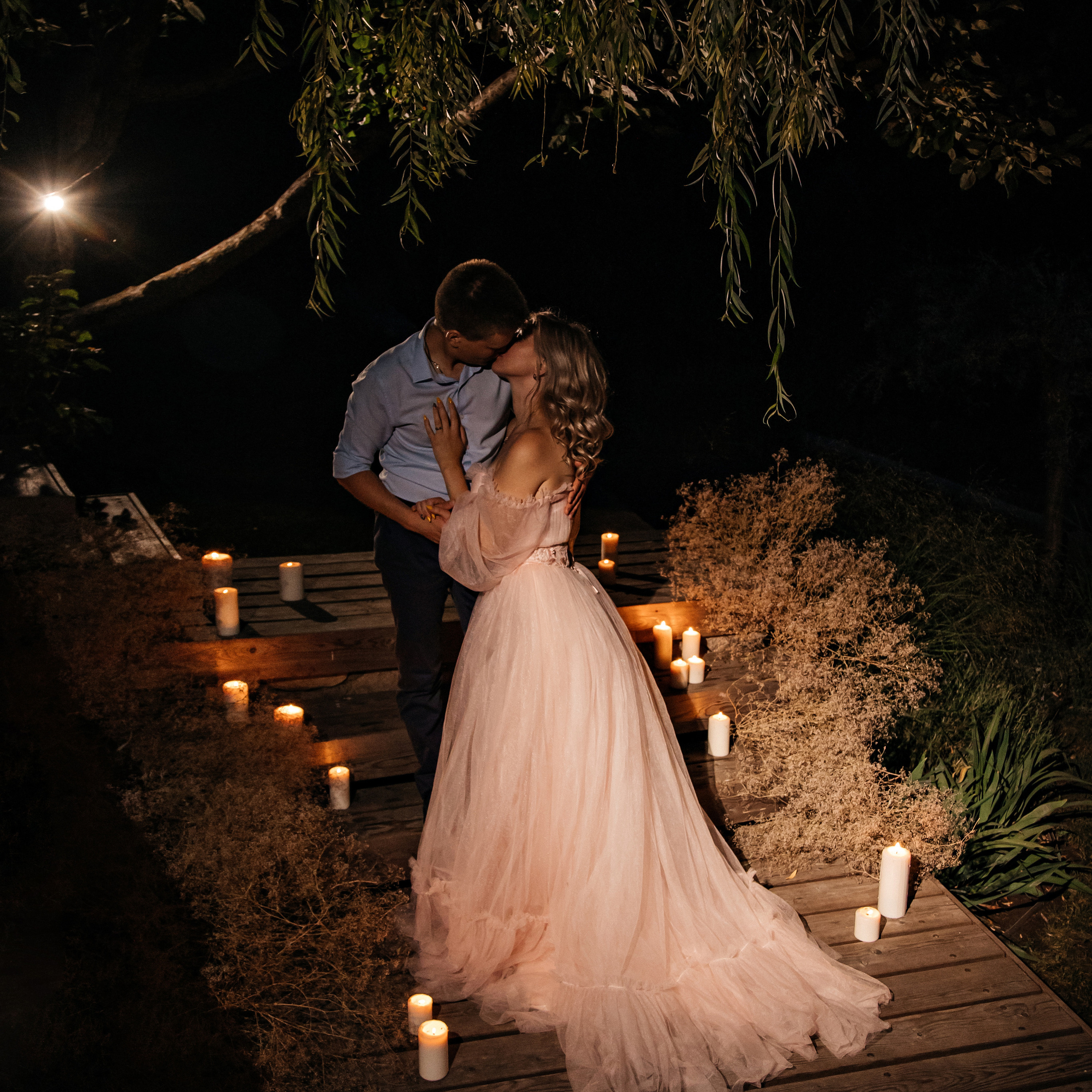 Love story «Twilight and cats»