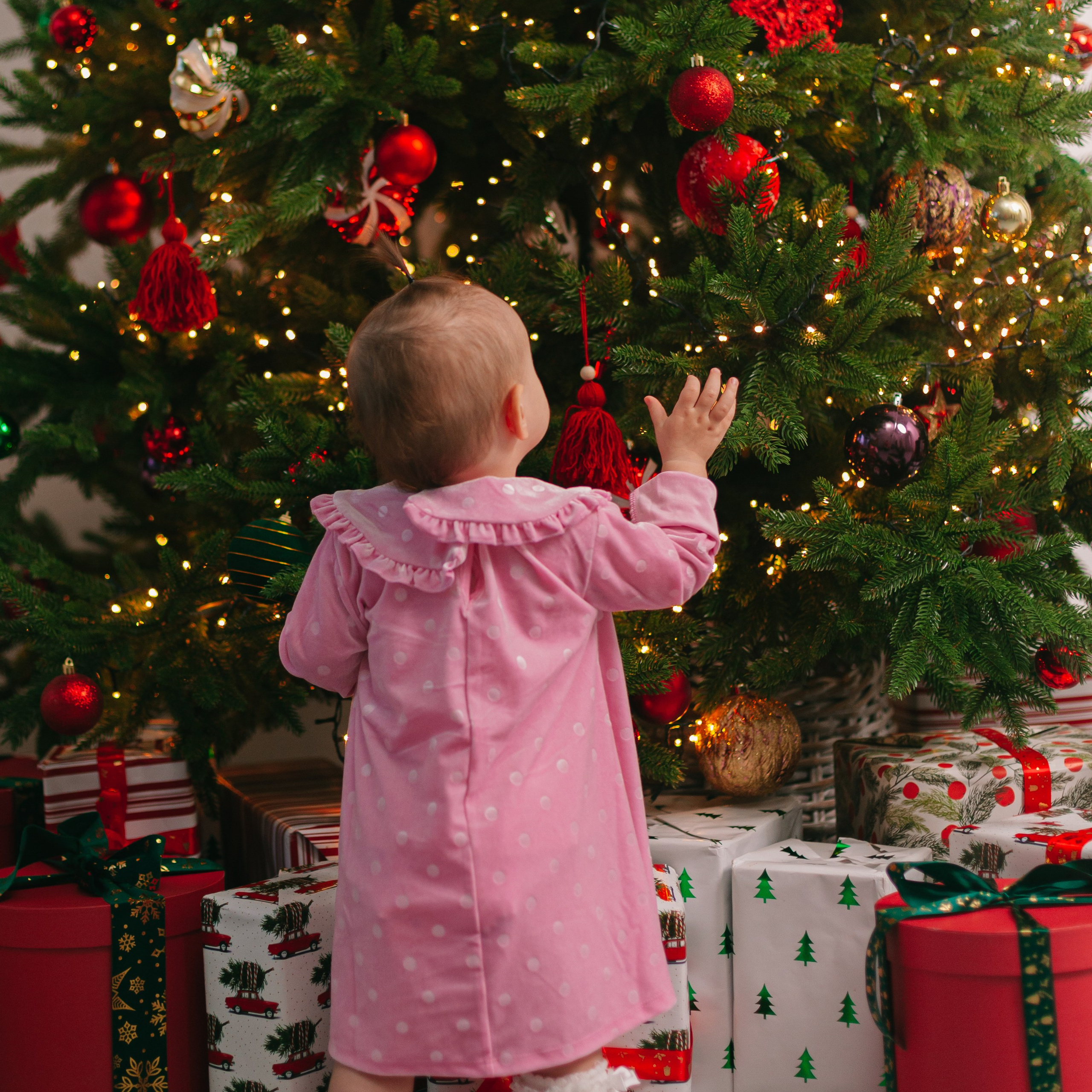 Отзывы. Фотограф в Петрозаводске Сухановская Татьяна