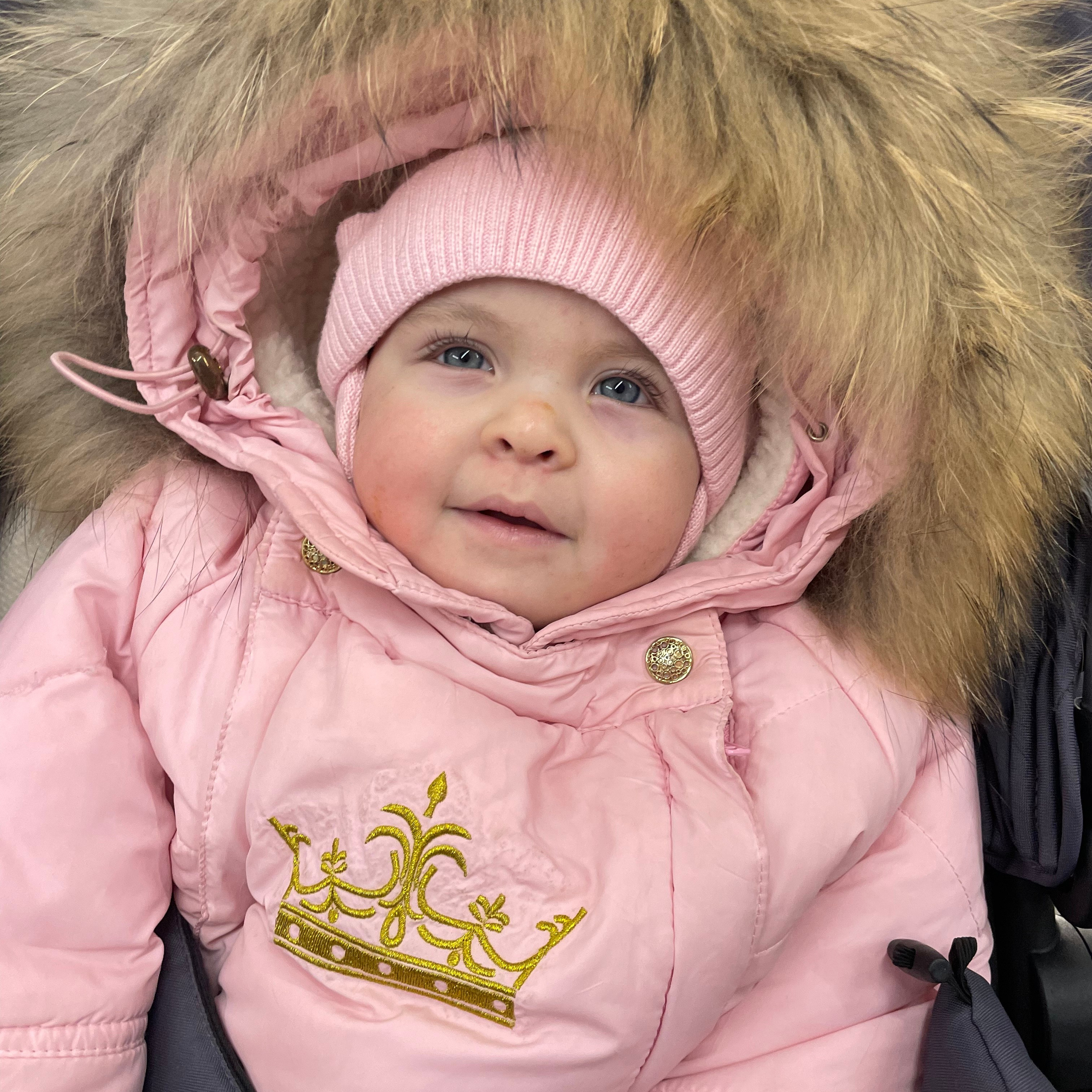 Отзывы. Николай Большаков