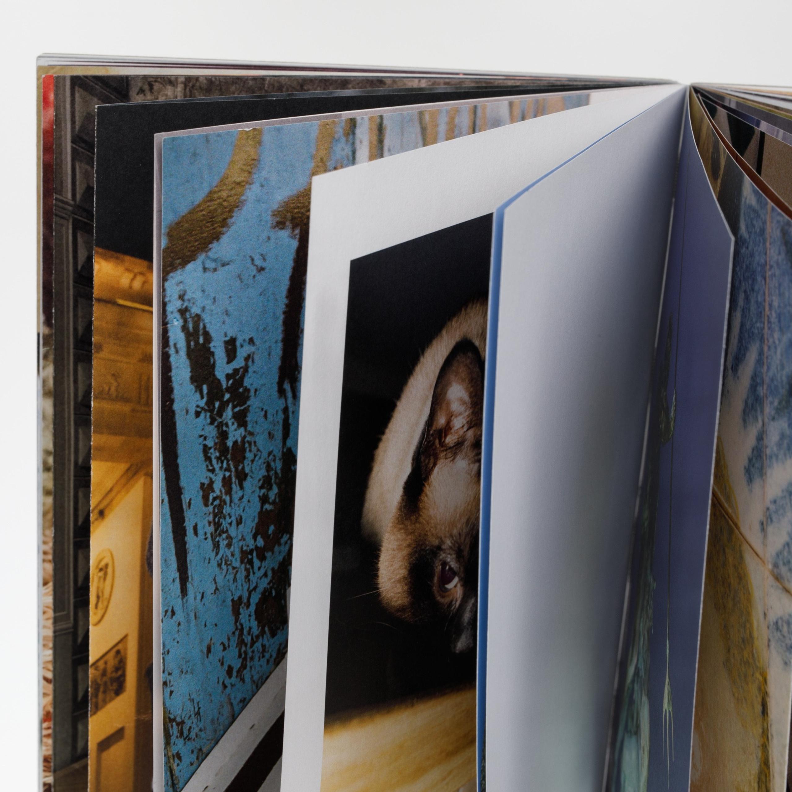 Photobook ''Sorry for the lack of contact”. Photographer, Documentary and Art