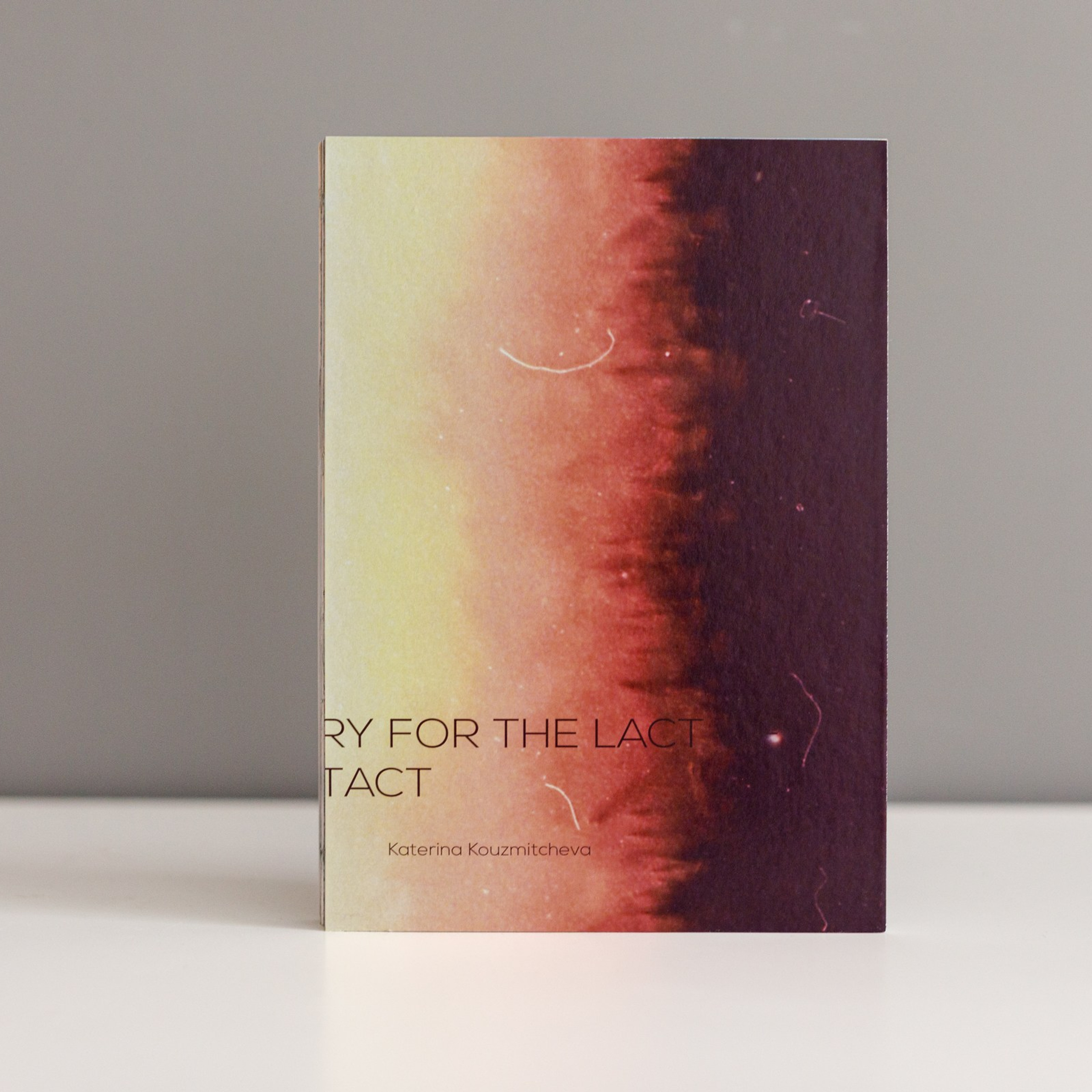 Photobook ''Sorry for the lack of contact”. Photographer, Documentary and Art