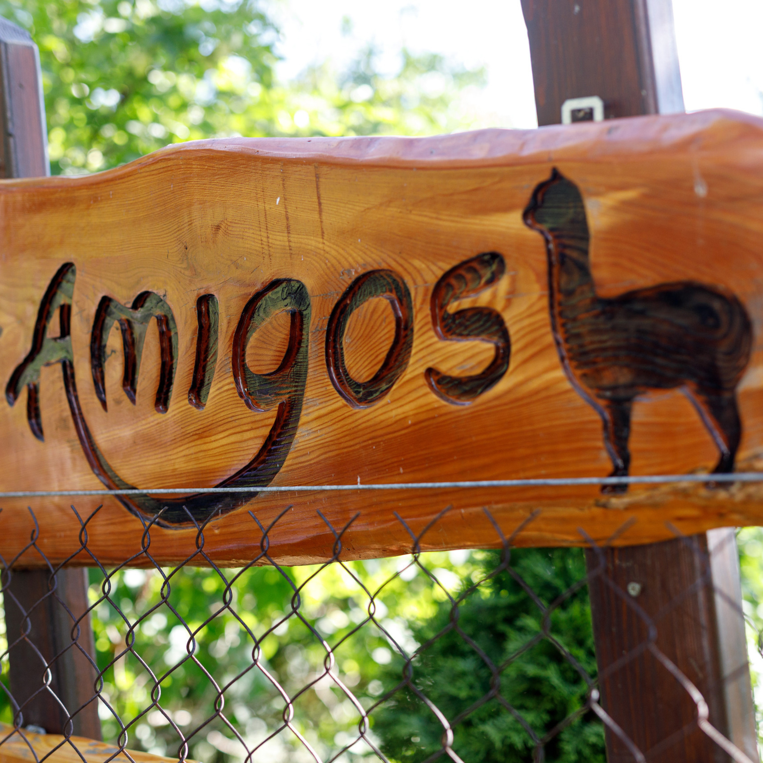 Feedback. Photographer, Documentary and Art