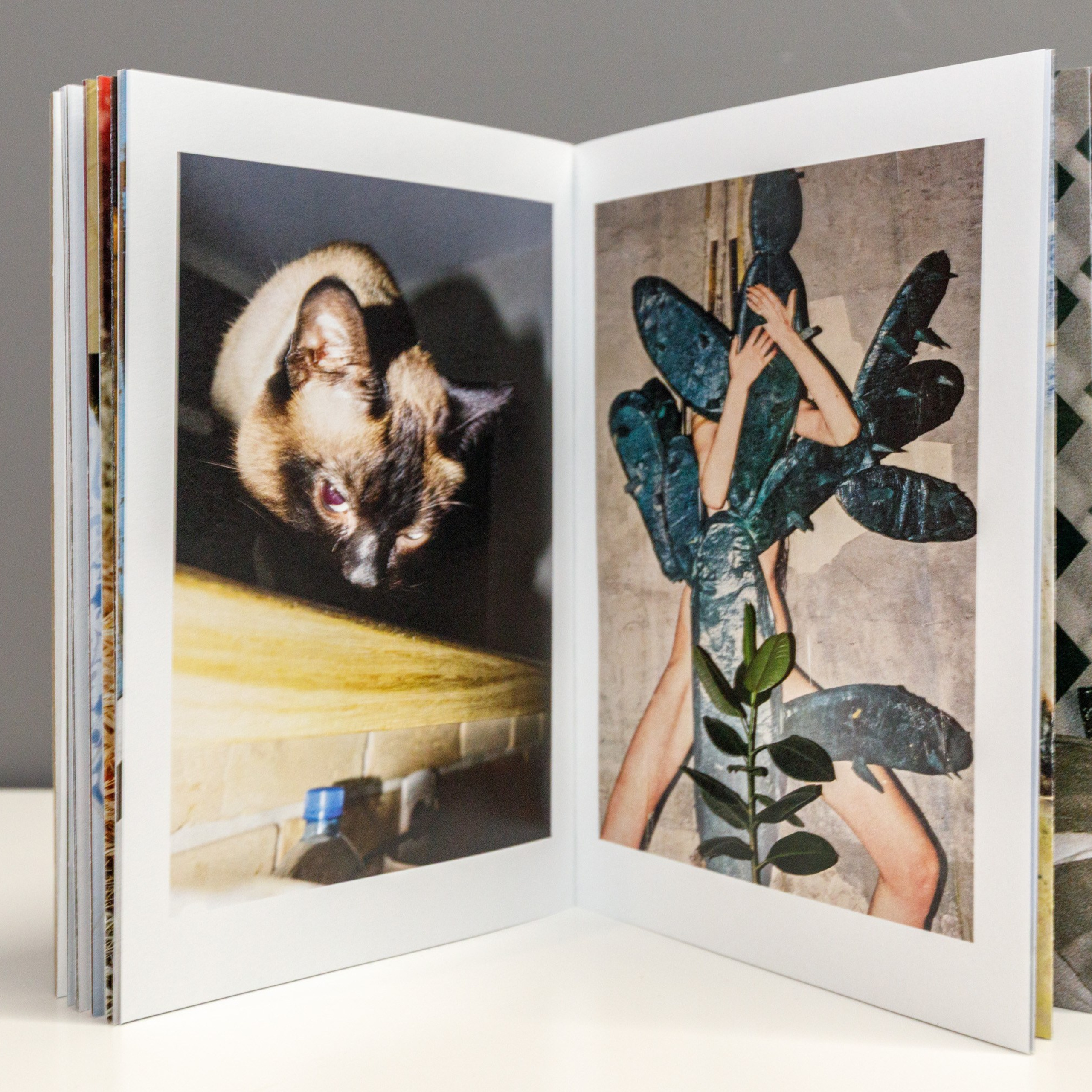 Photobook ''Sorry for the lack of contact”. Photographer, Documentary and Art