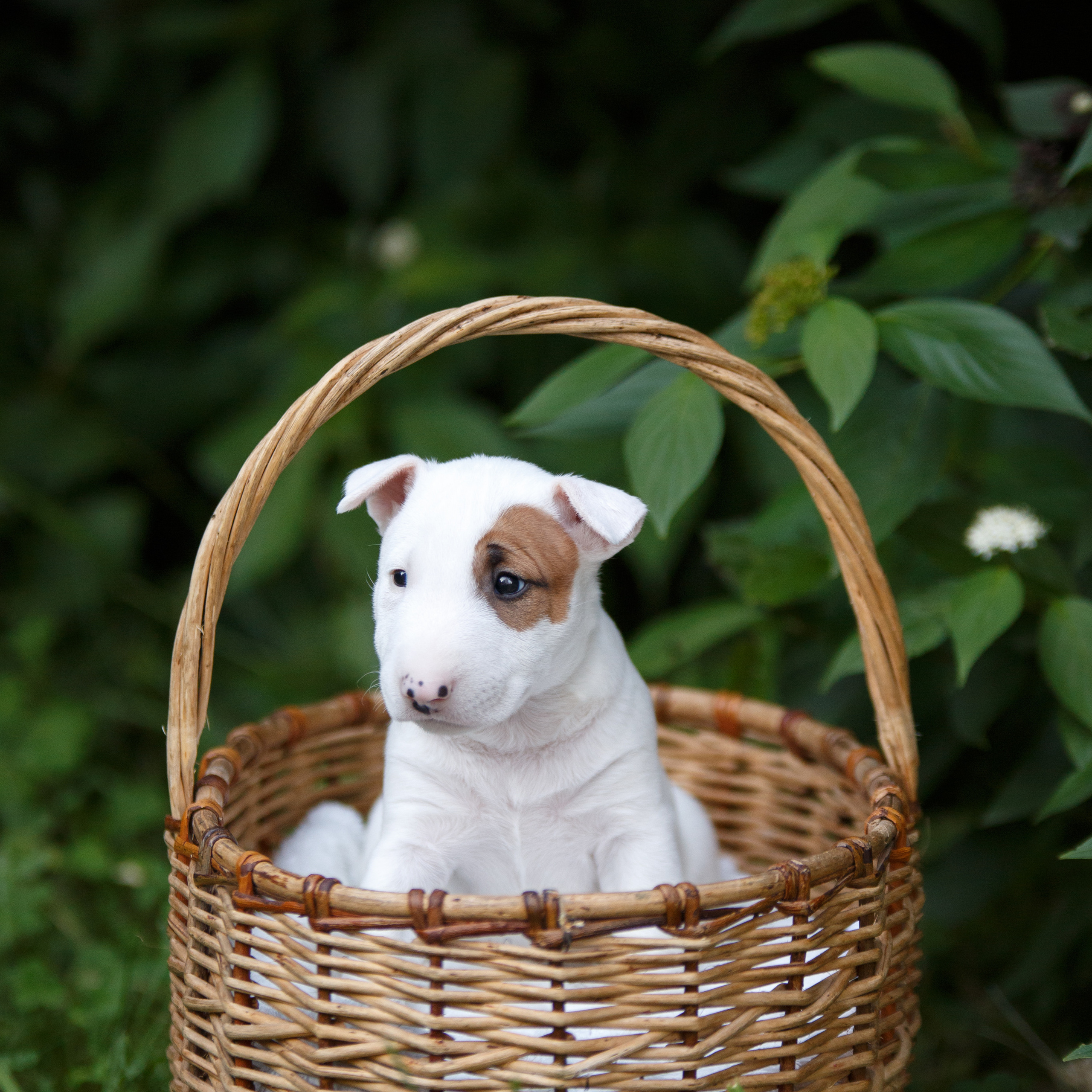 Отзывы. Фотограф в Твери Helga J. Fox