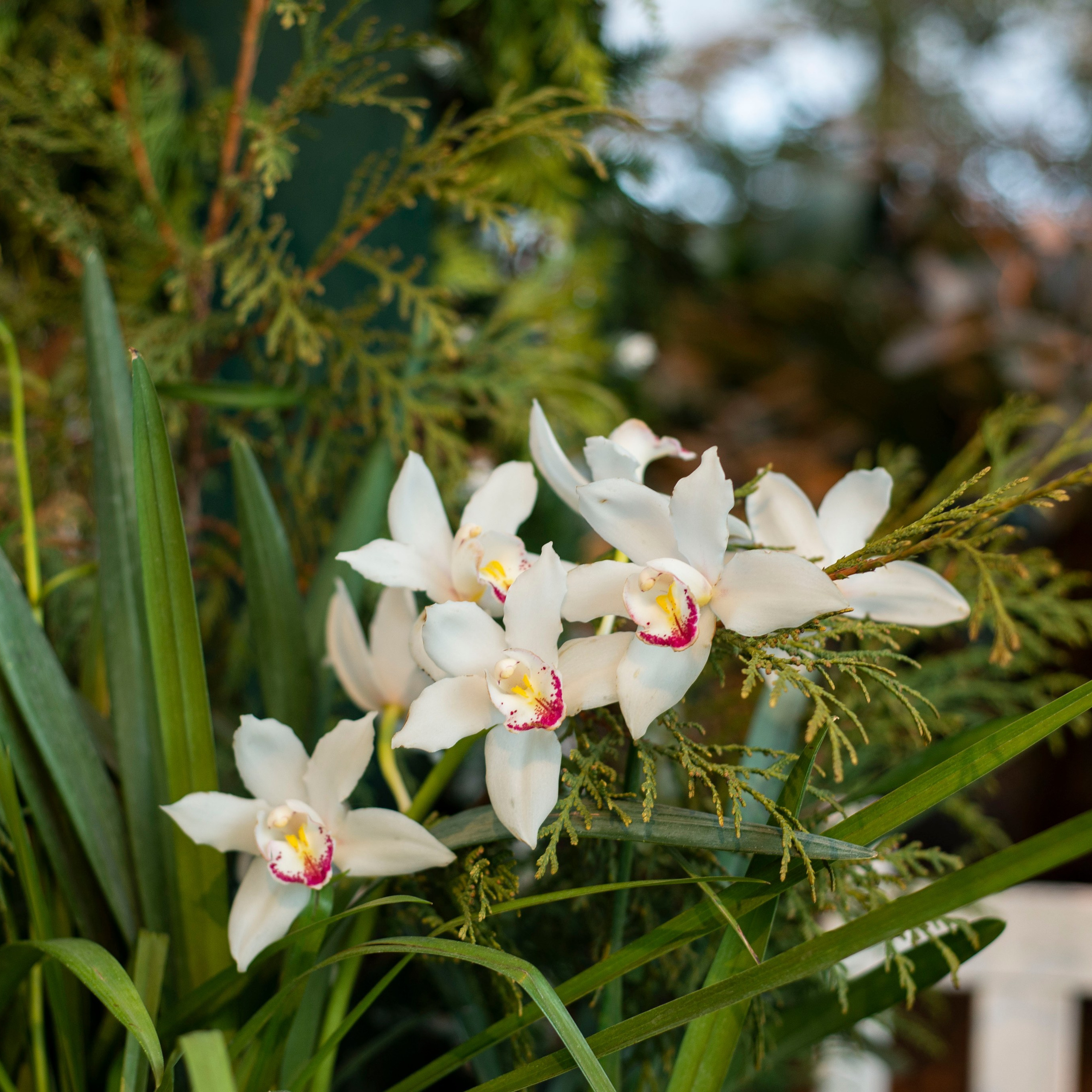 Отзывы. Фотограф в Москве Аня Цыплакова