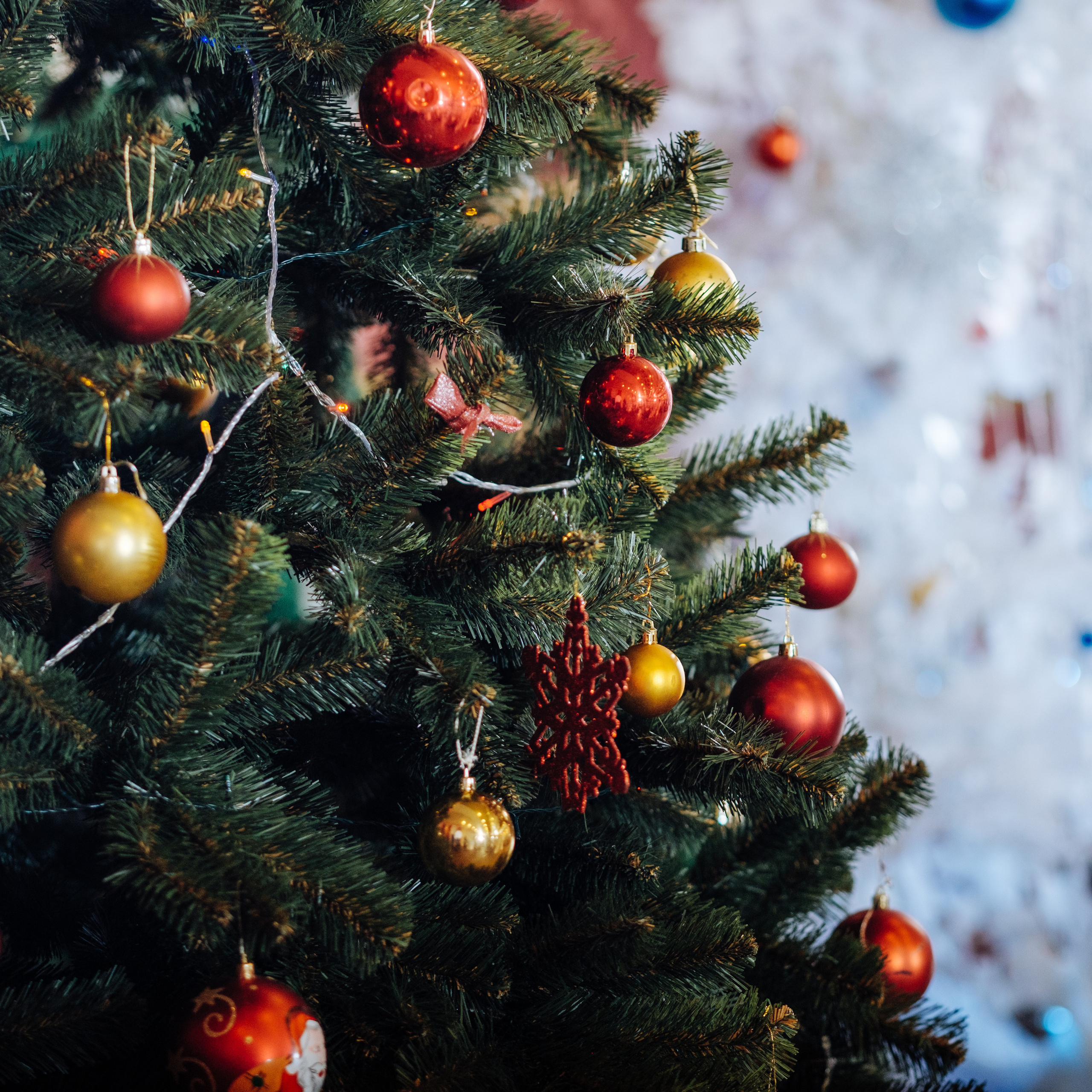 Отзывы. Свадебный и репортажный фотограф Евгений Рудницкий