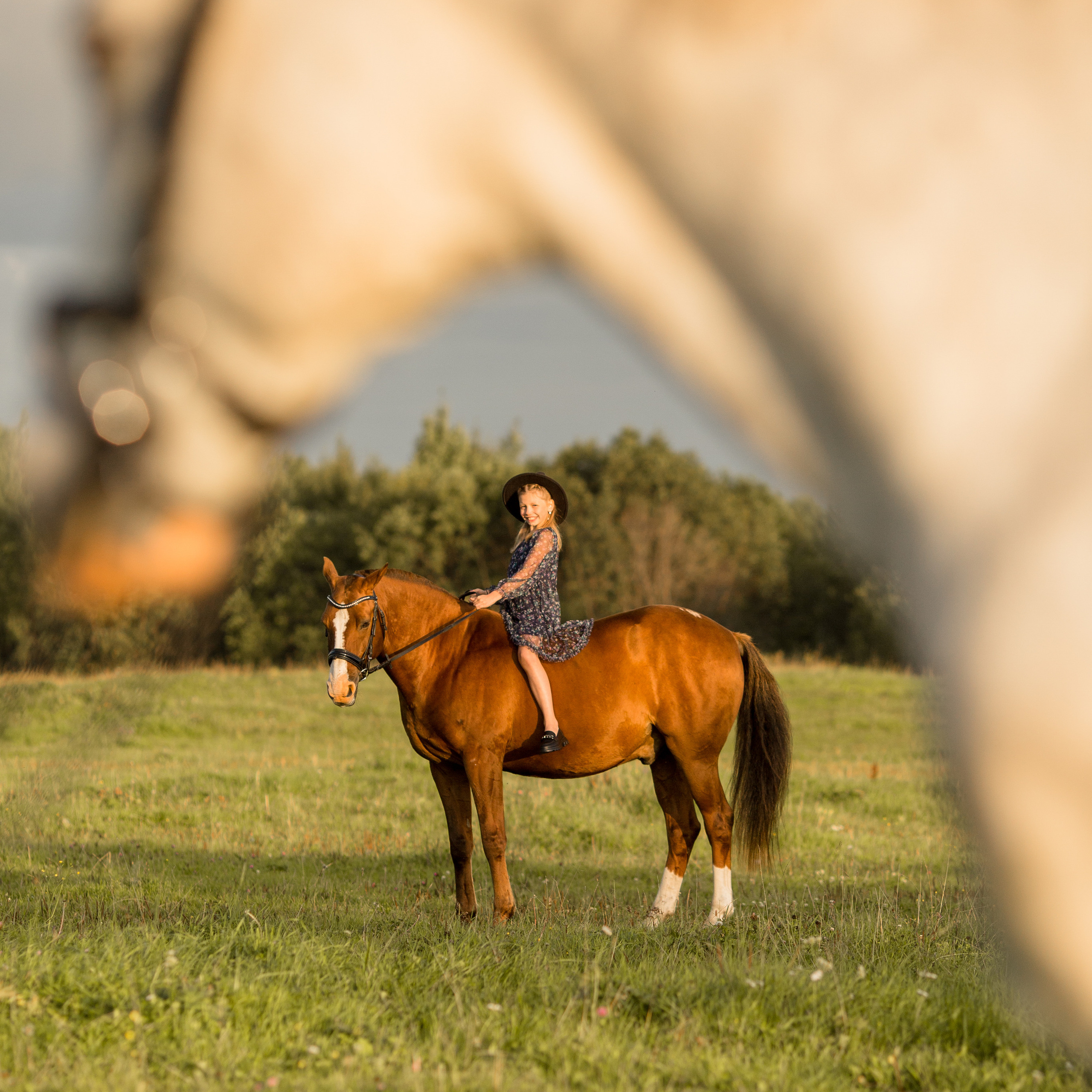 Саша, Альтаир, Брайден и Барбарис