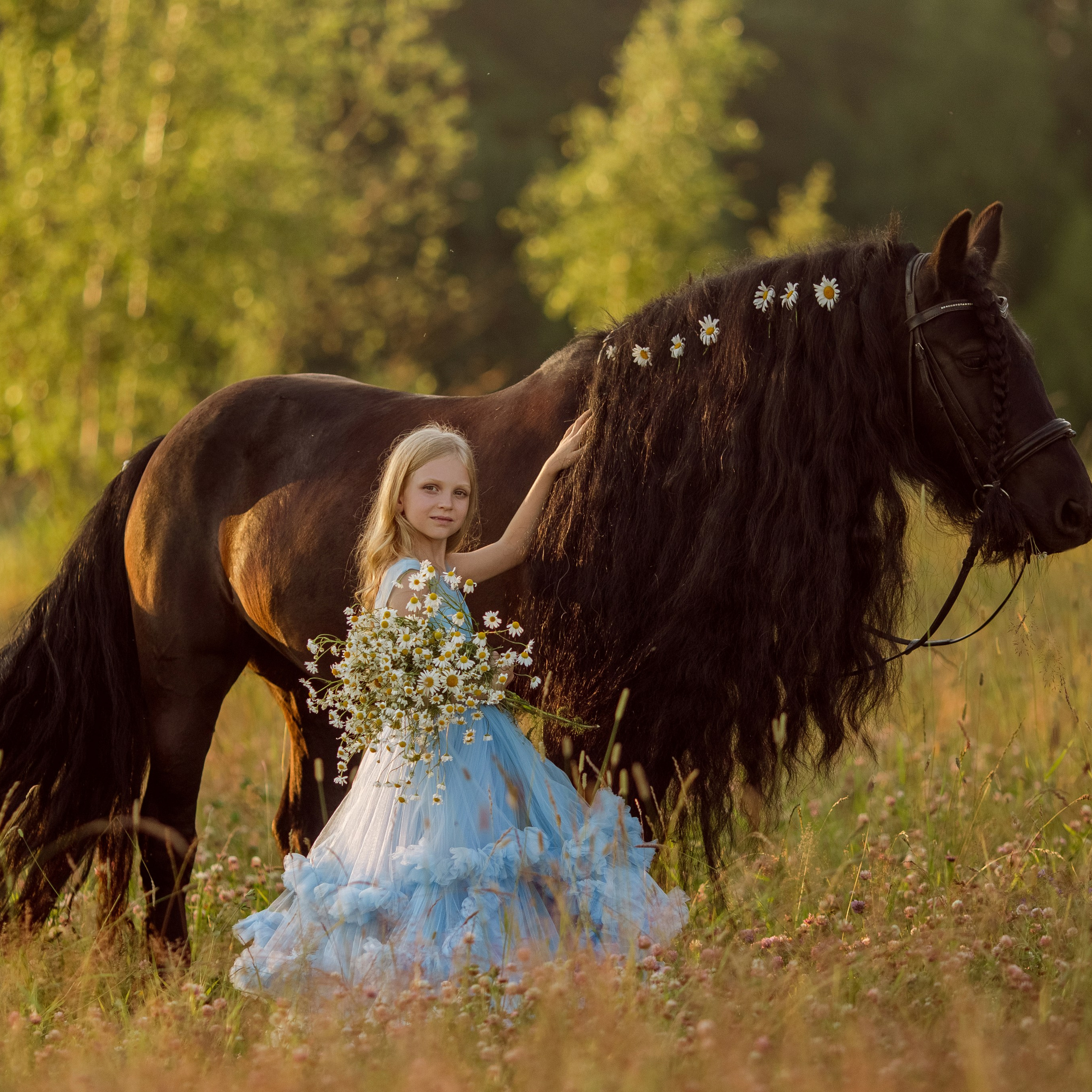 Эва и фелл пони Кора