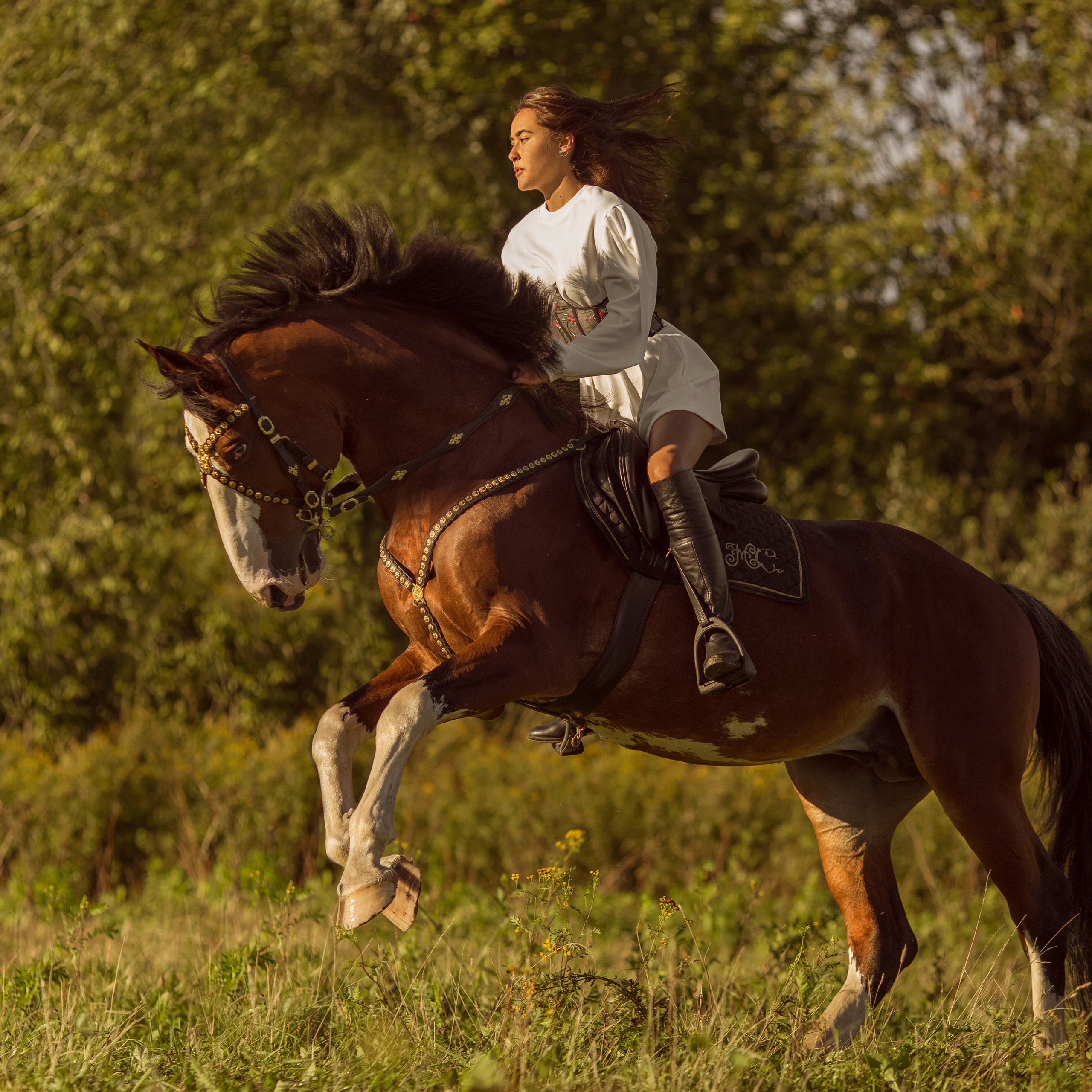 Лиза и Перспективный