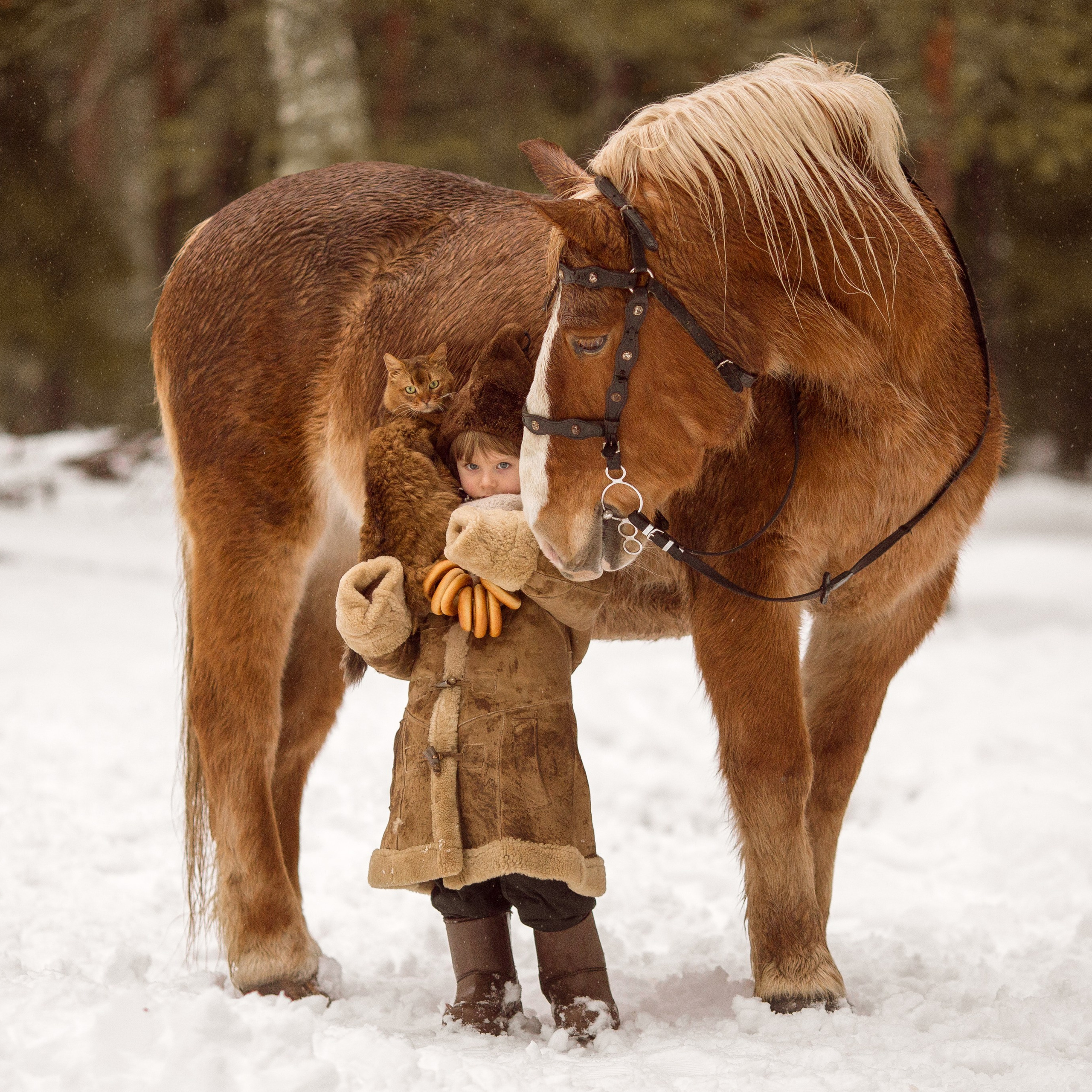 Аркаша и Плавная