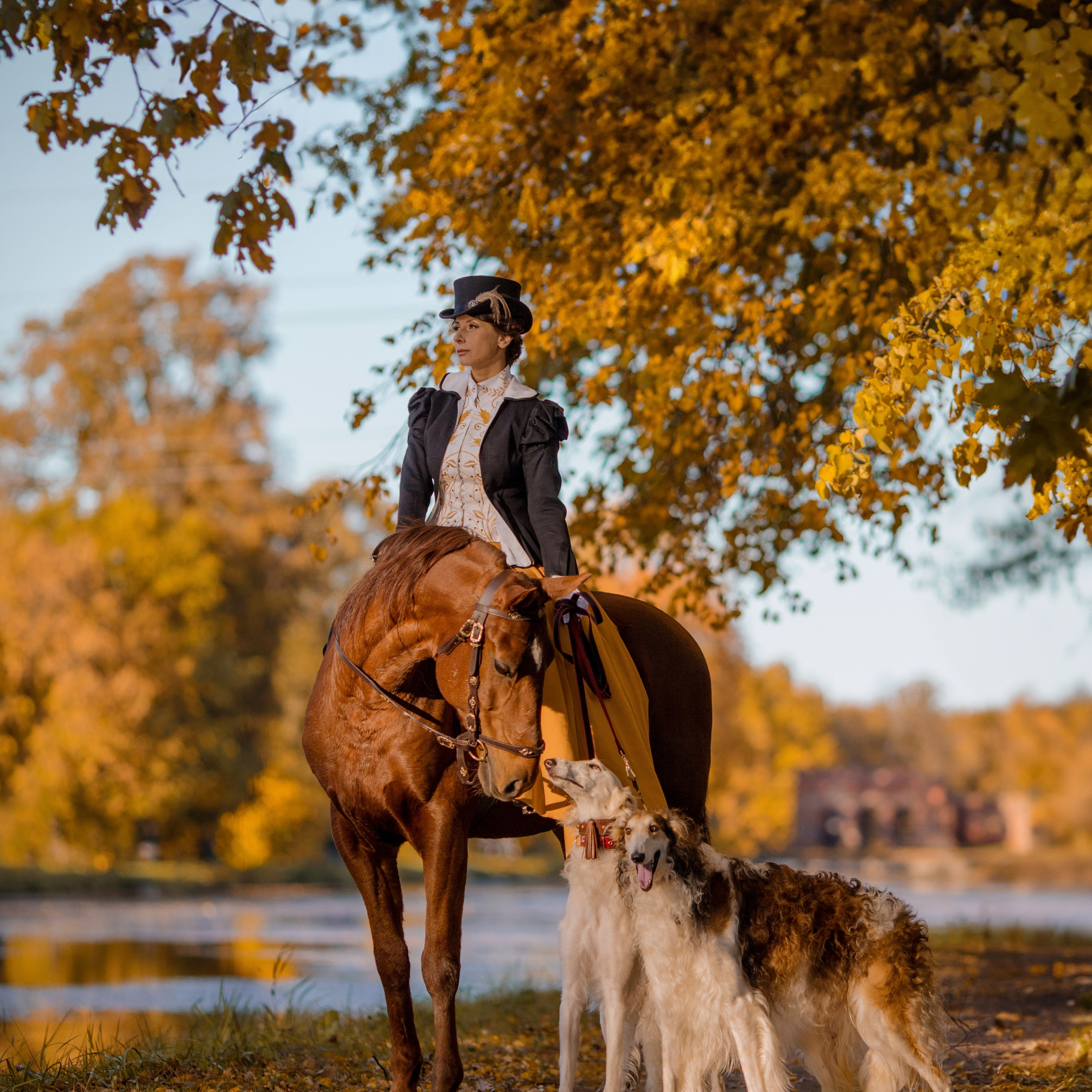 Ирина, Хан и борзые