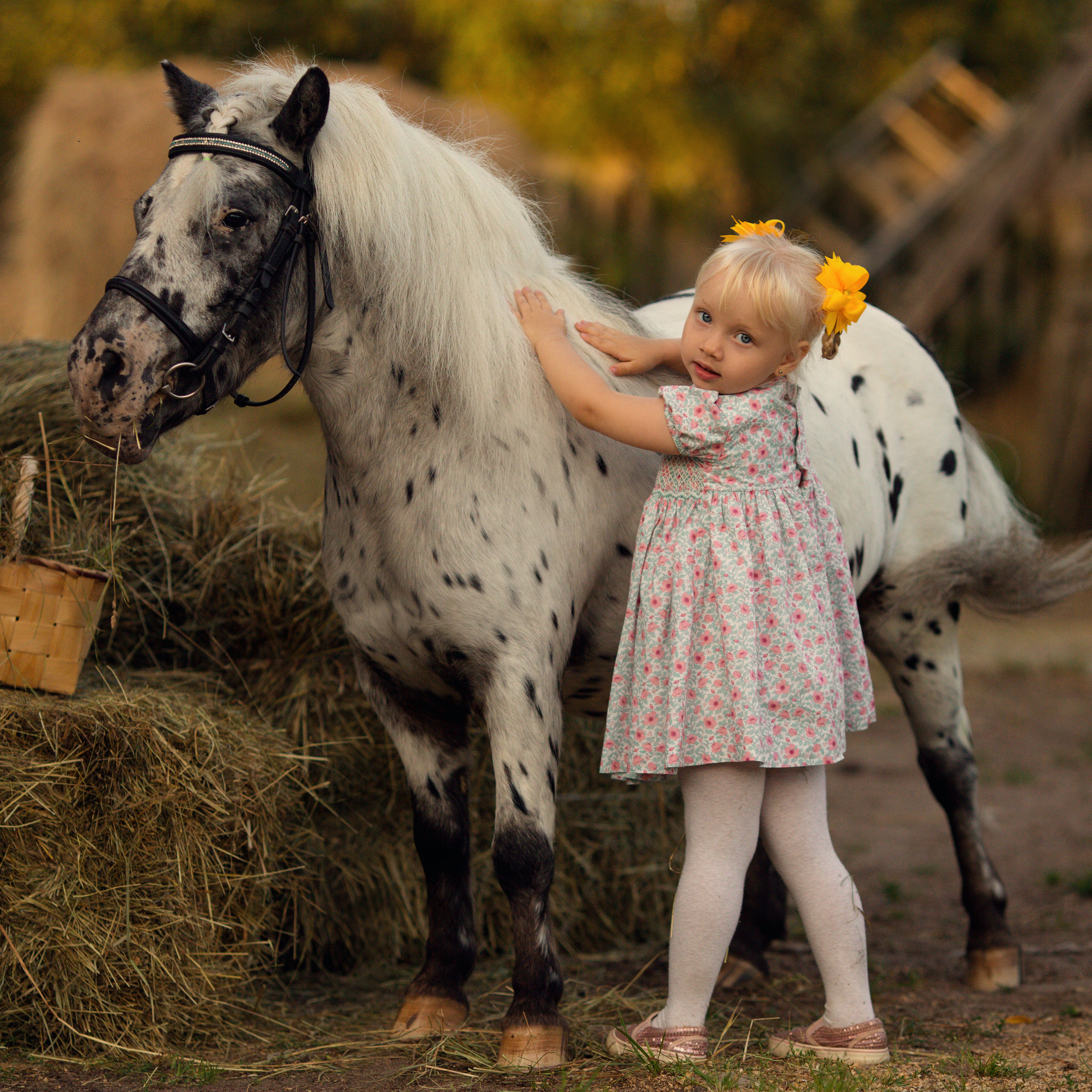 Влада и Селтик