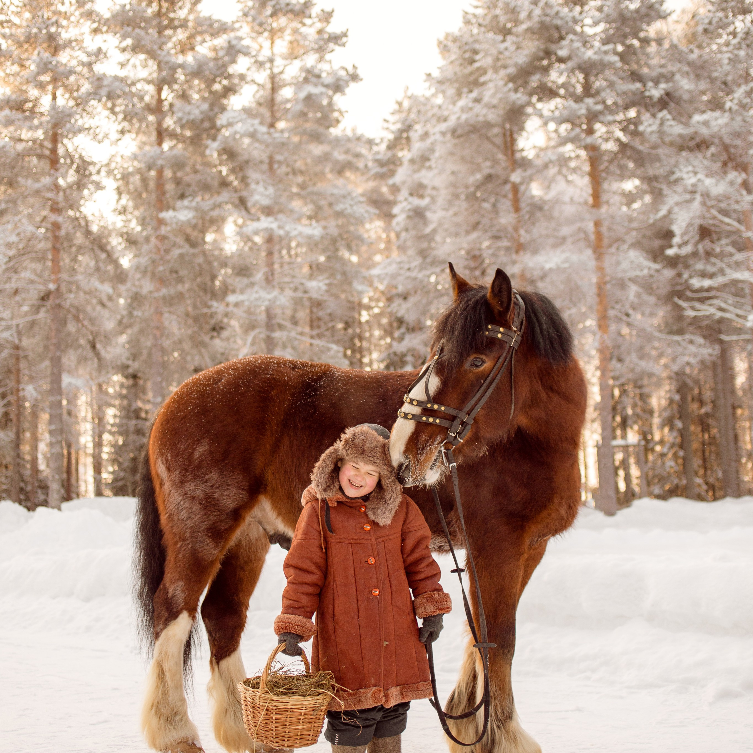 Саша и владимирский тяжеловоз Вечер