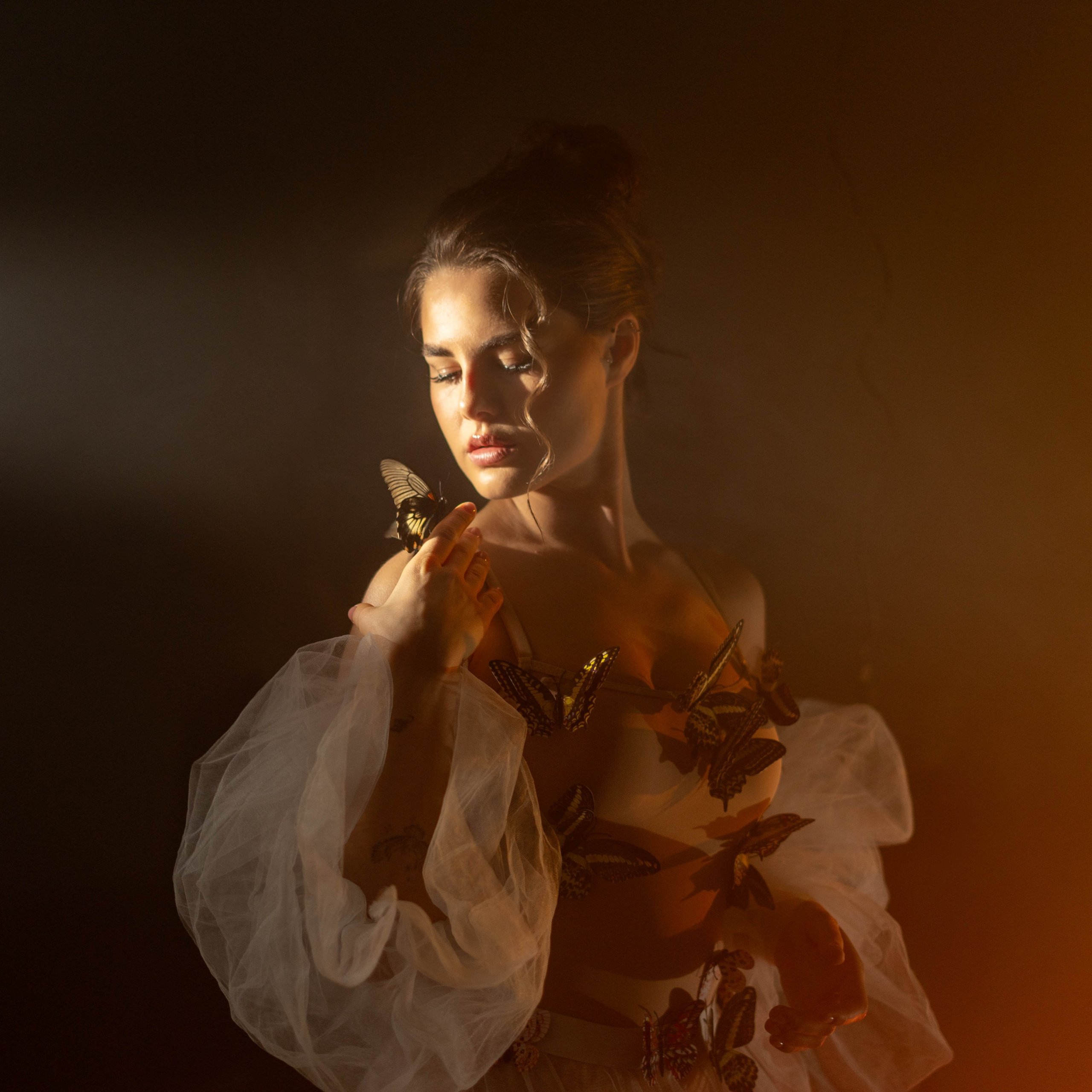 «Лесная чаша»