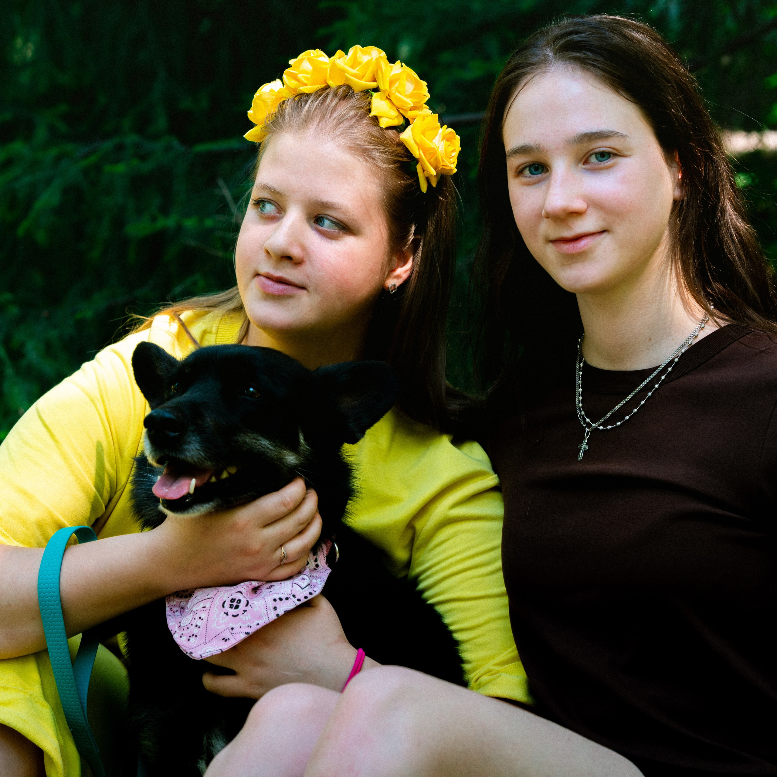 Праздник Добра «Фотодляприюта» 20.06.2026. Вадим Павкин — Фотограф в Новосибирске