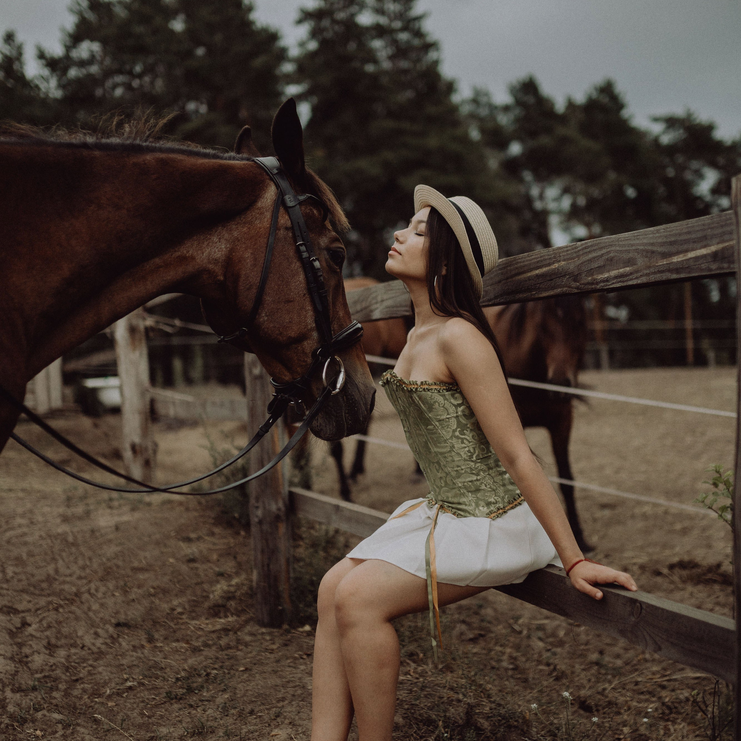 Конная прогулка