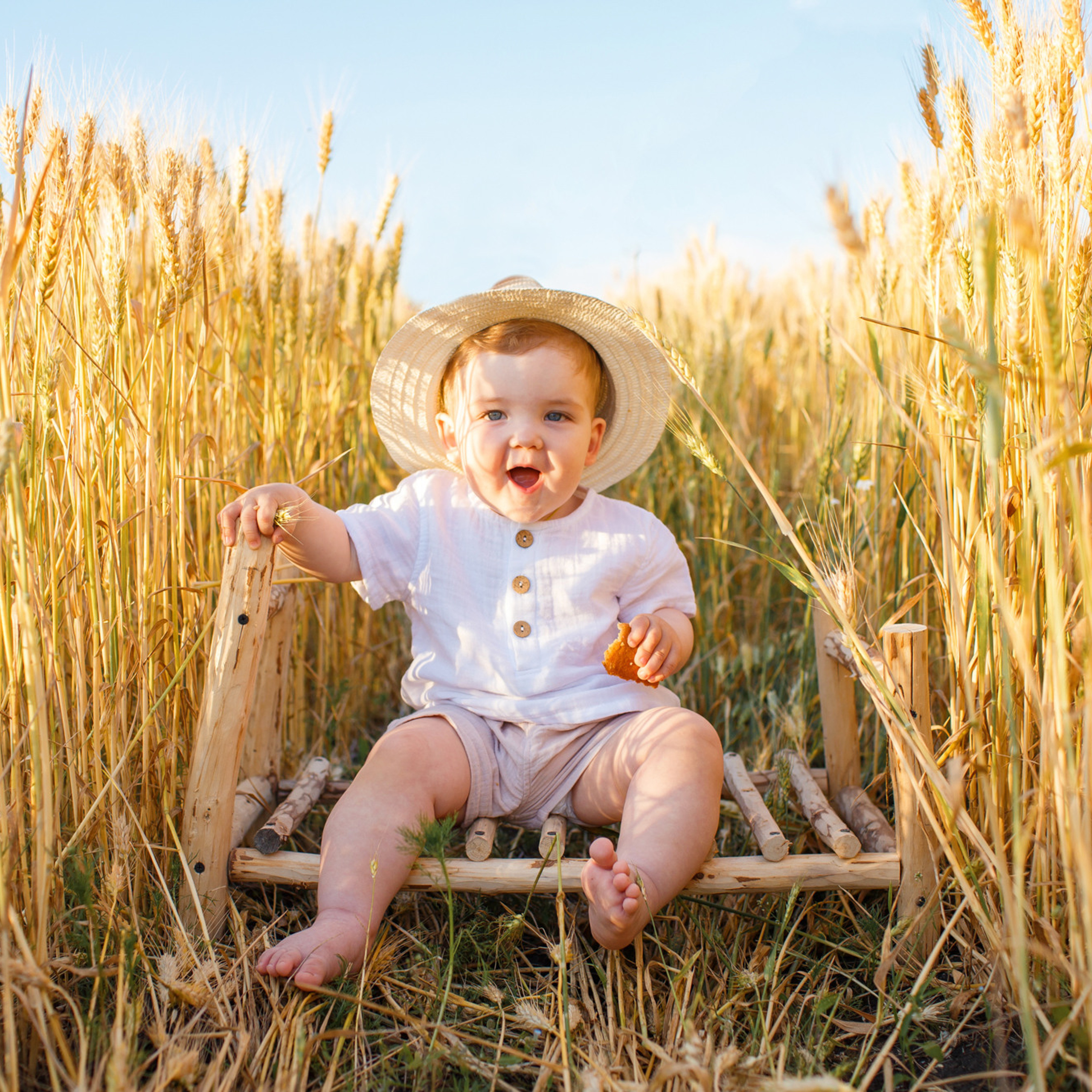 Пшеничное поле