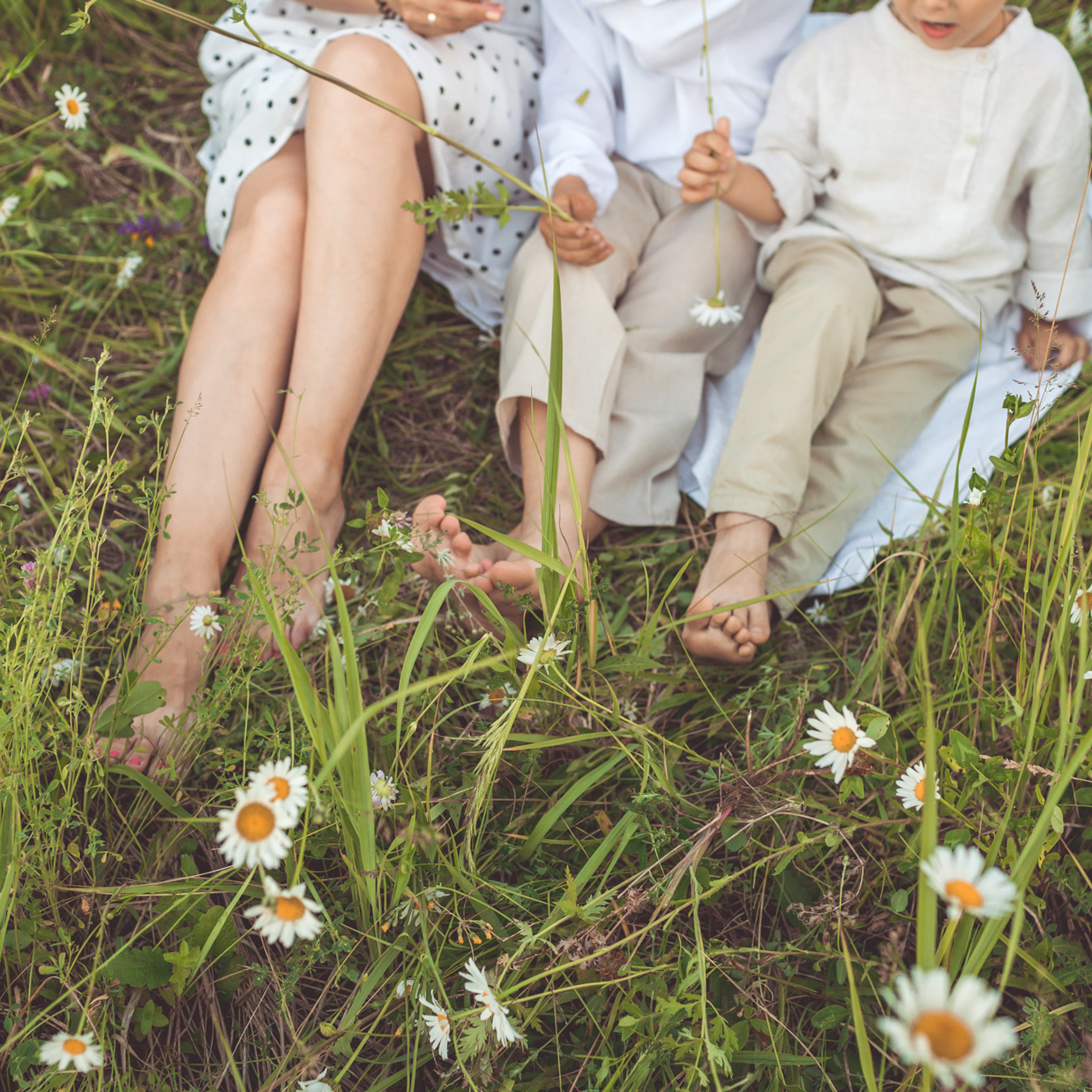 фотосессии в ромашках