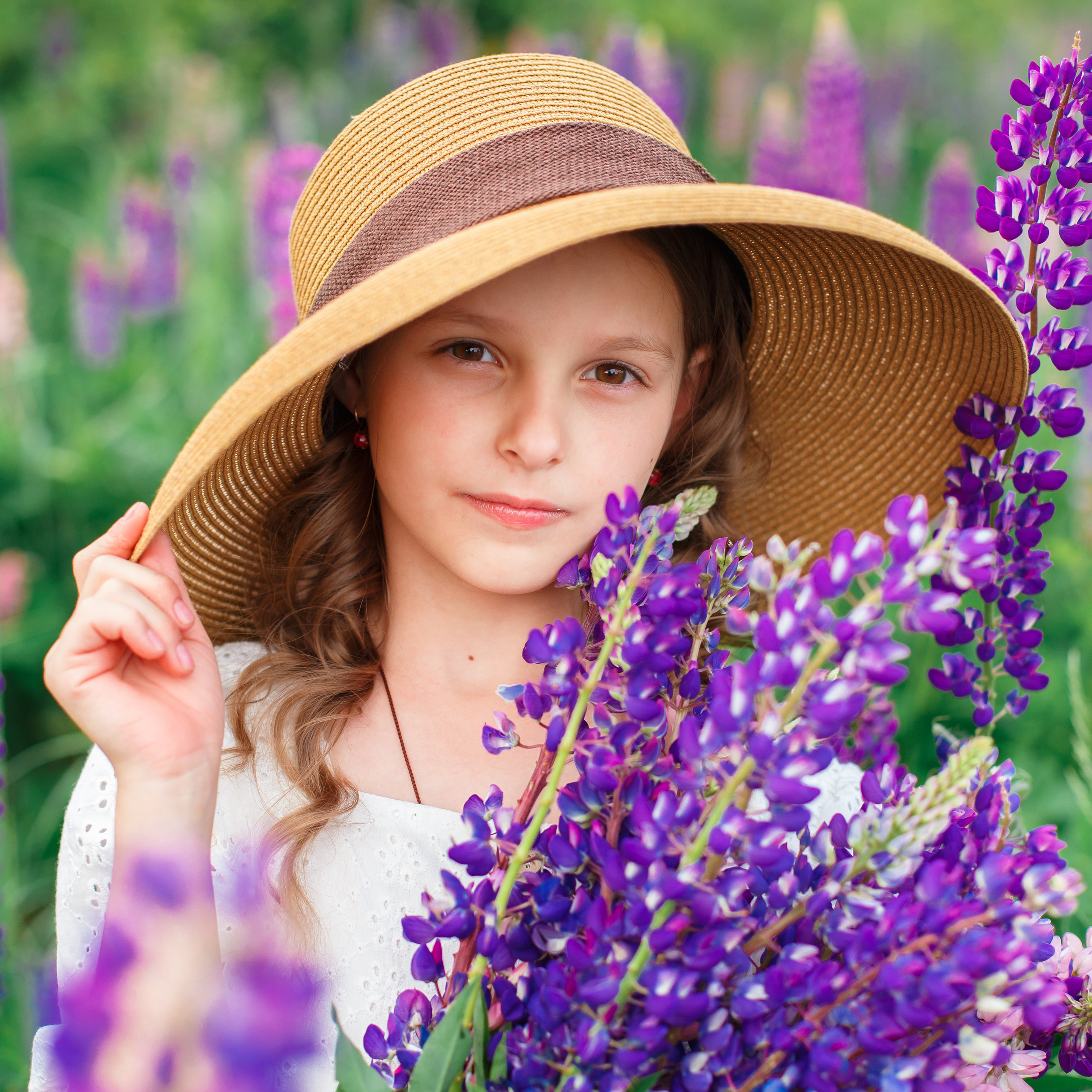 Люпины, клеверное поле