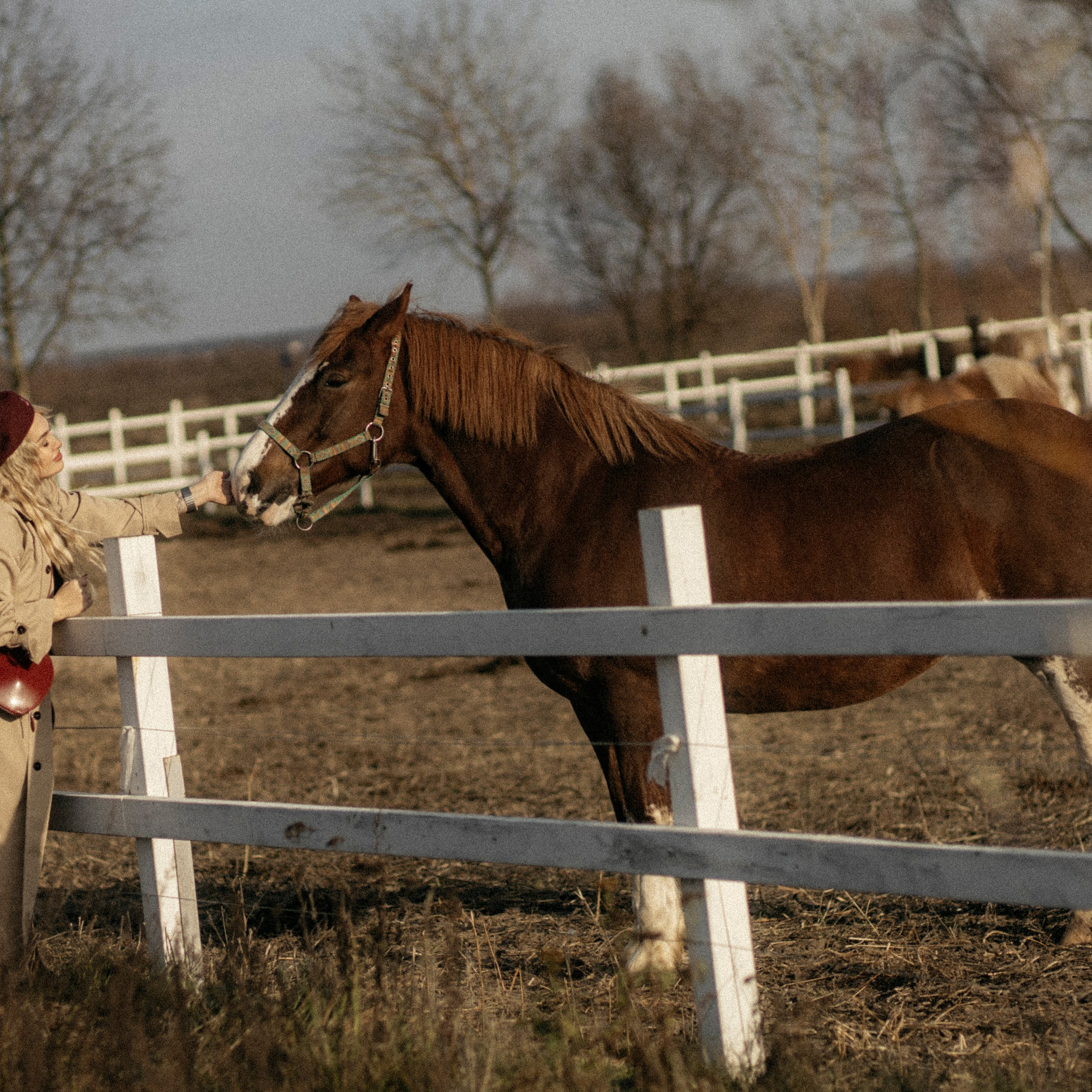 Прогулка с Еленой