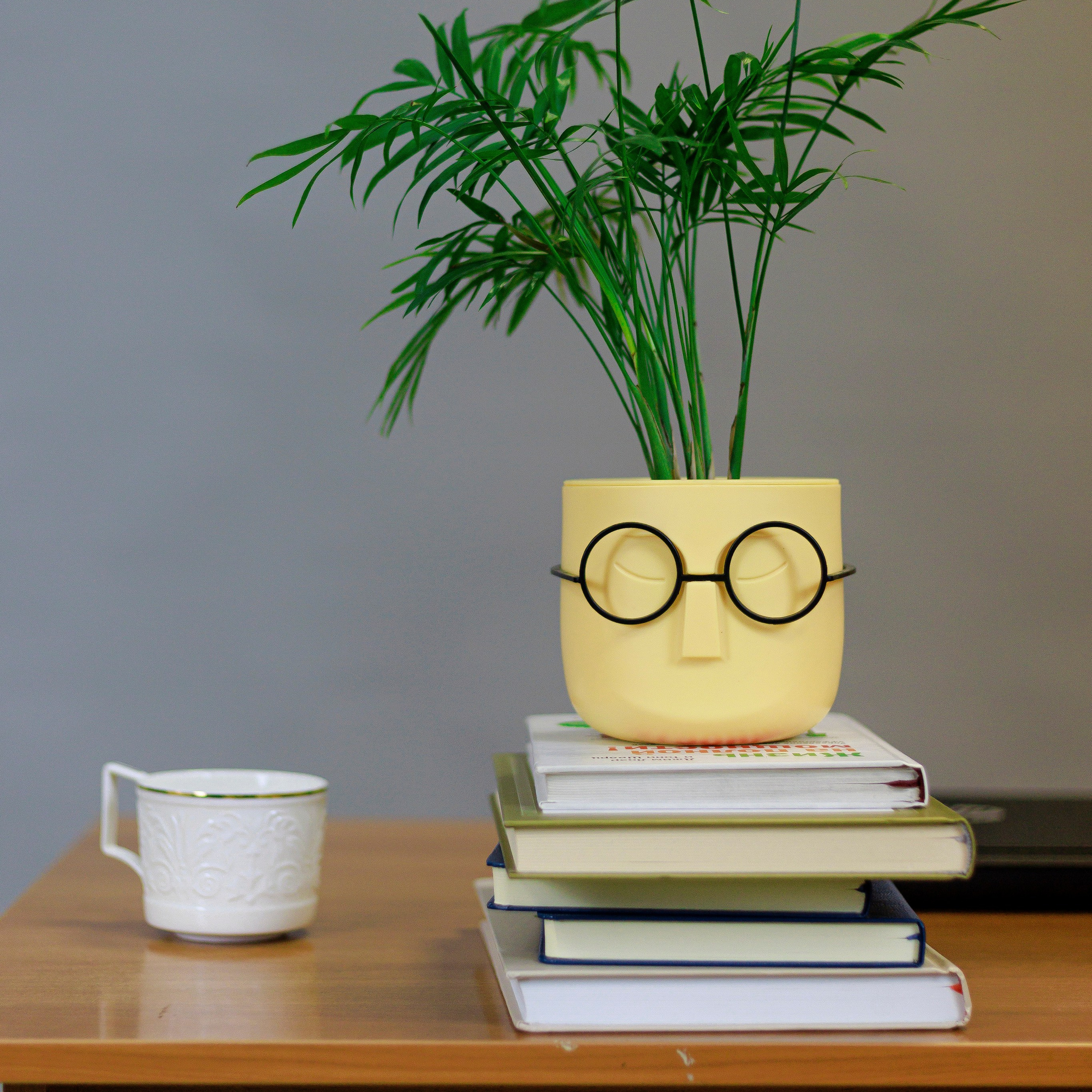 Отзывы. Семейный и детский фотограф в Рязани Васюгова Мария