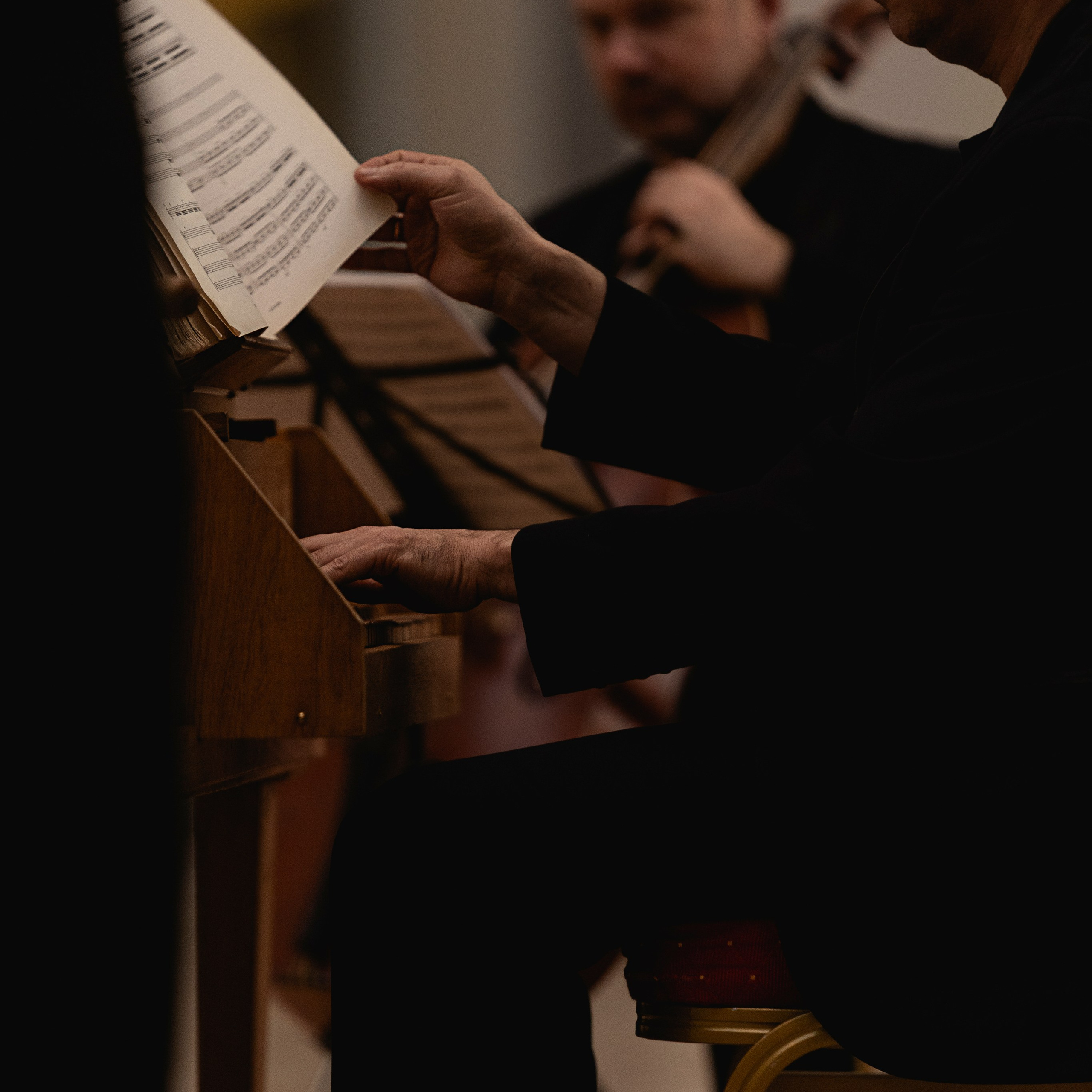 The State Hermitage Museum. Divertissement Chamber Orchestra