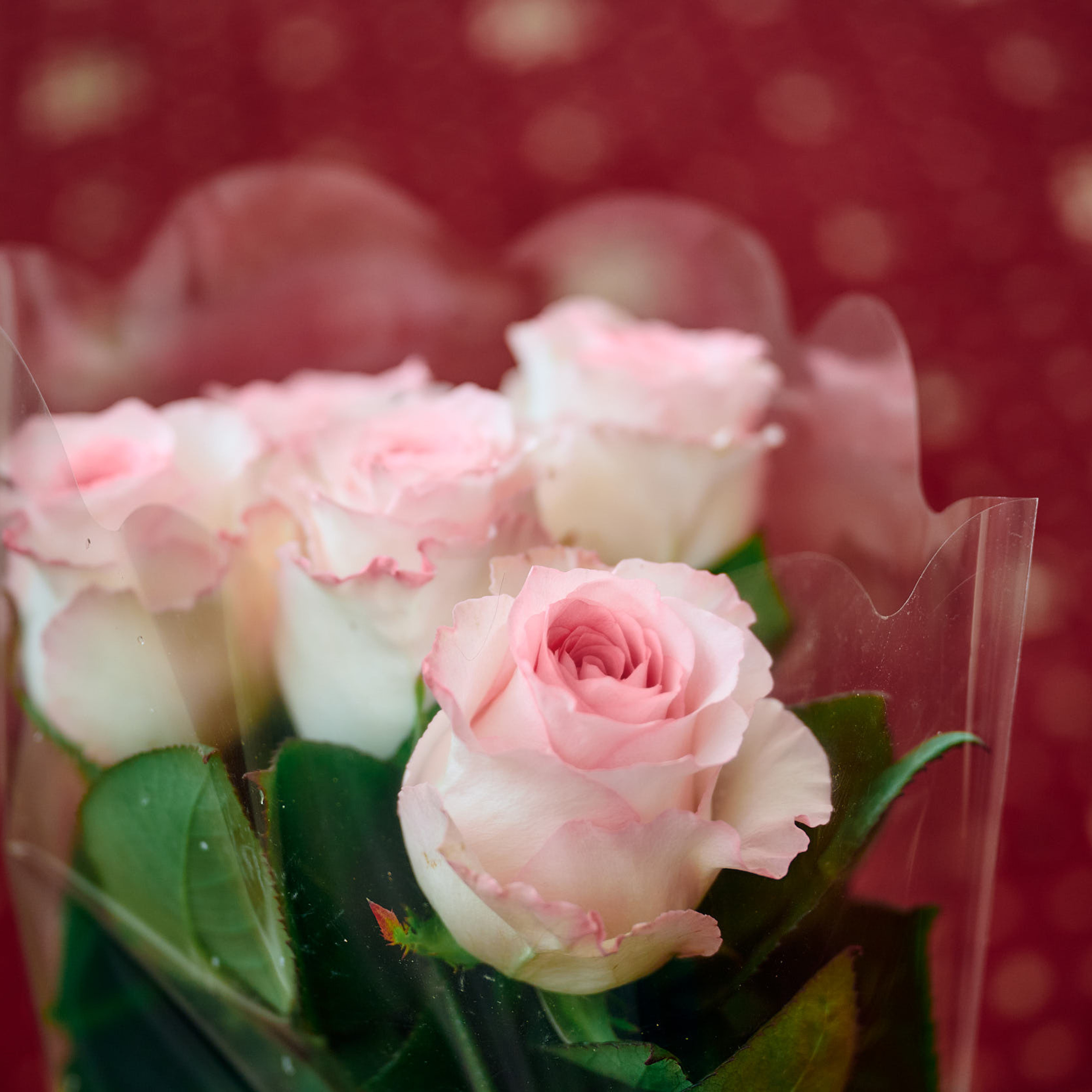 Отзывы клиентов фотографа Ежкова Алексея в Нижнем Новгороде. Репортажный фотограф Ежков Алексей в Нижнем Новгороде