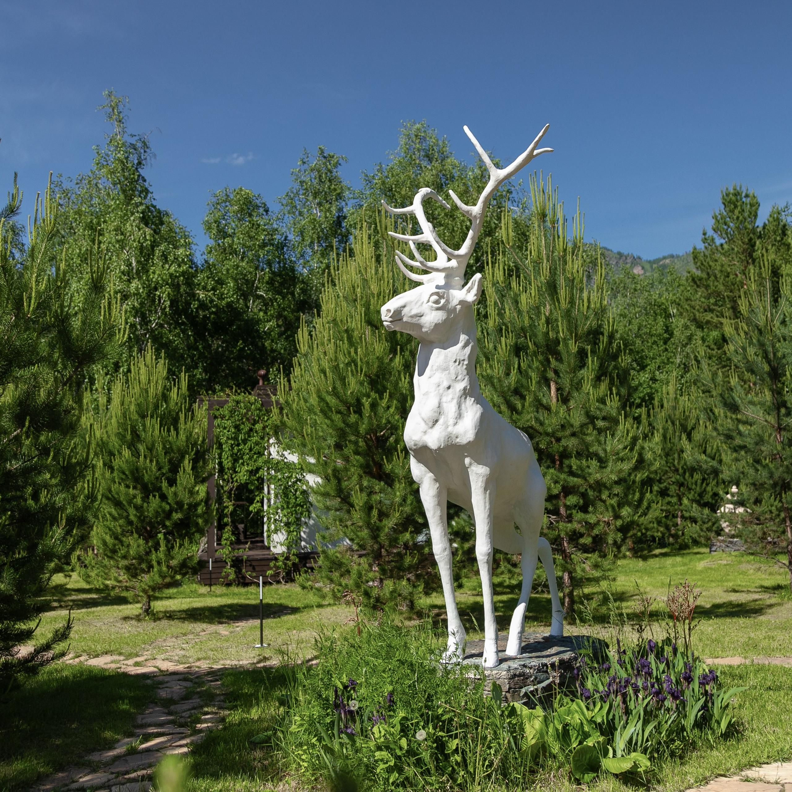 АЙТАУ. Чемал