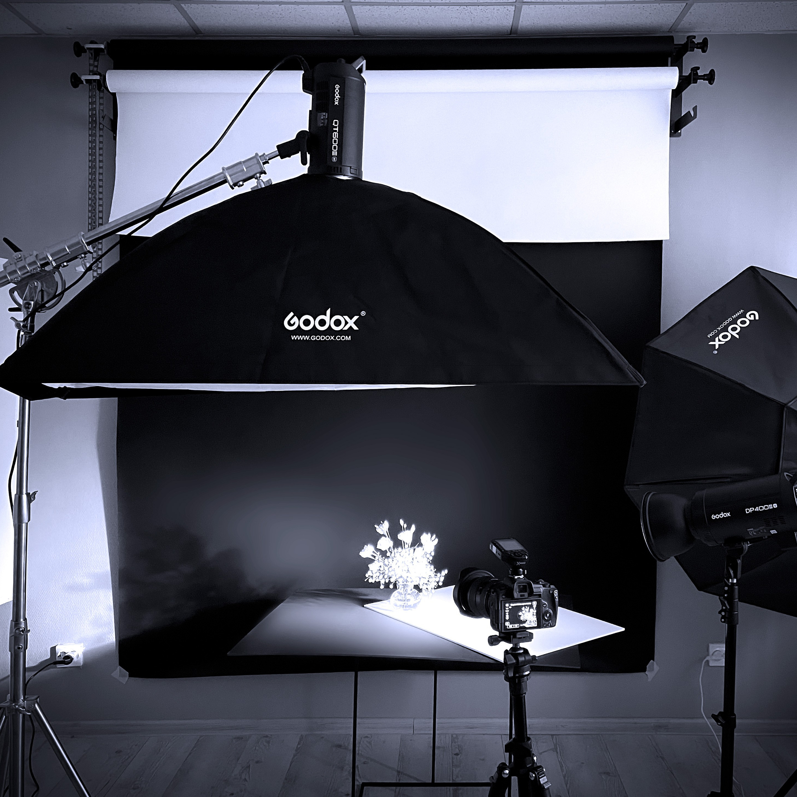 Блог. Фотограф Светлана Заплатина