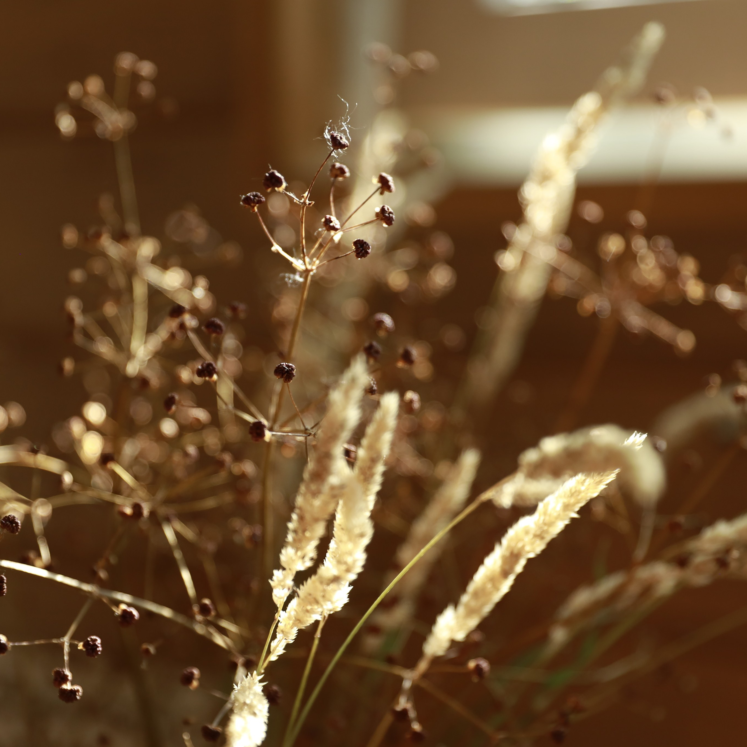 Блог. Фотограф Светлана Заплатина