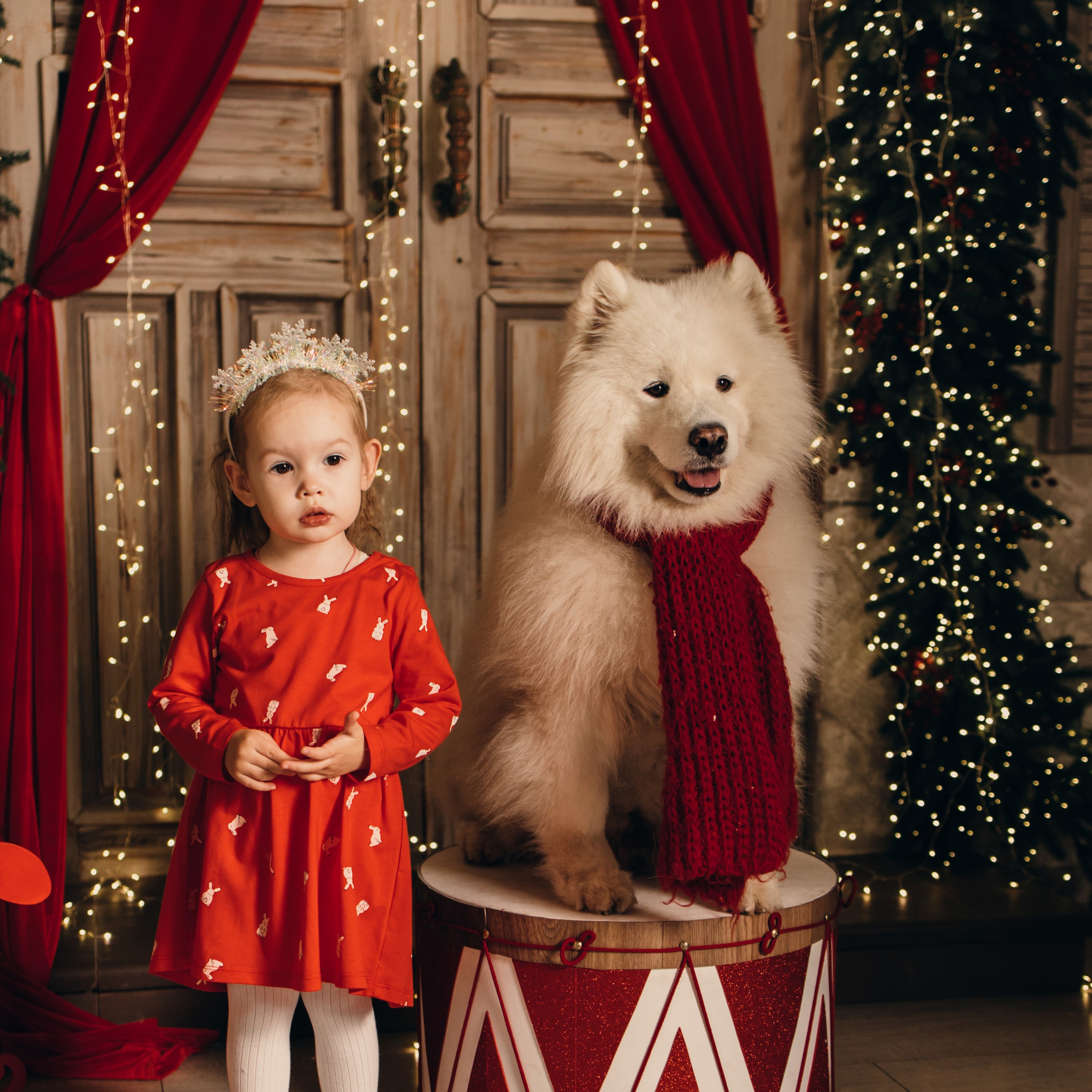 Новогодний самоед