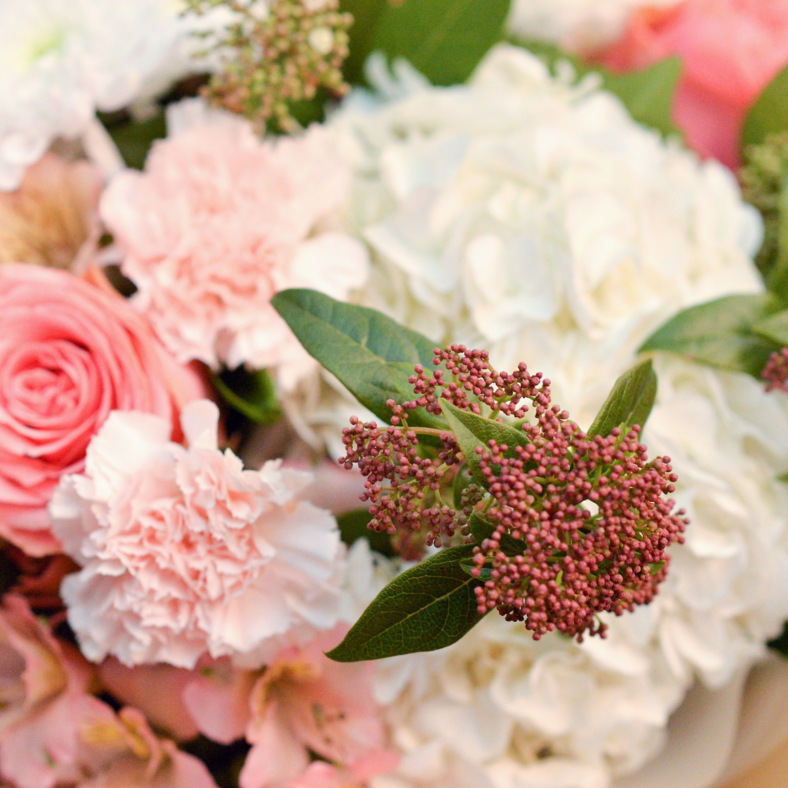 Отзывы. Фотограф анималист | семейный Юлия Вакуленко, г. Краснодар