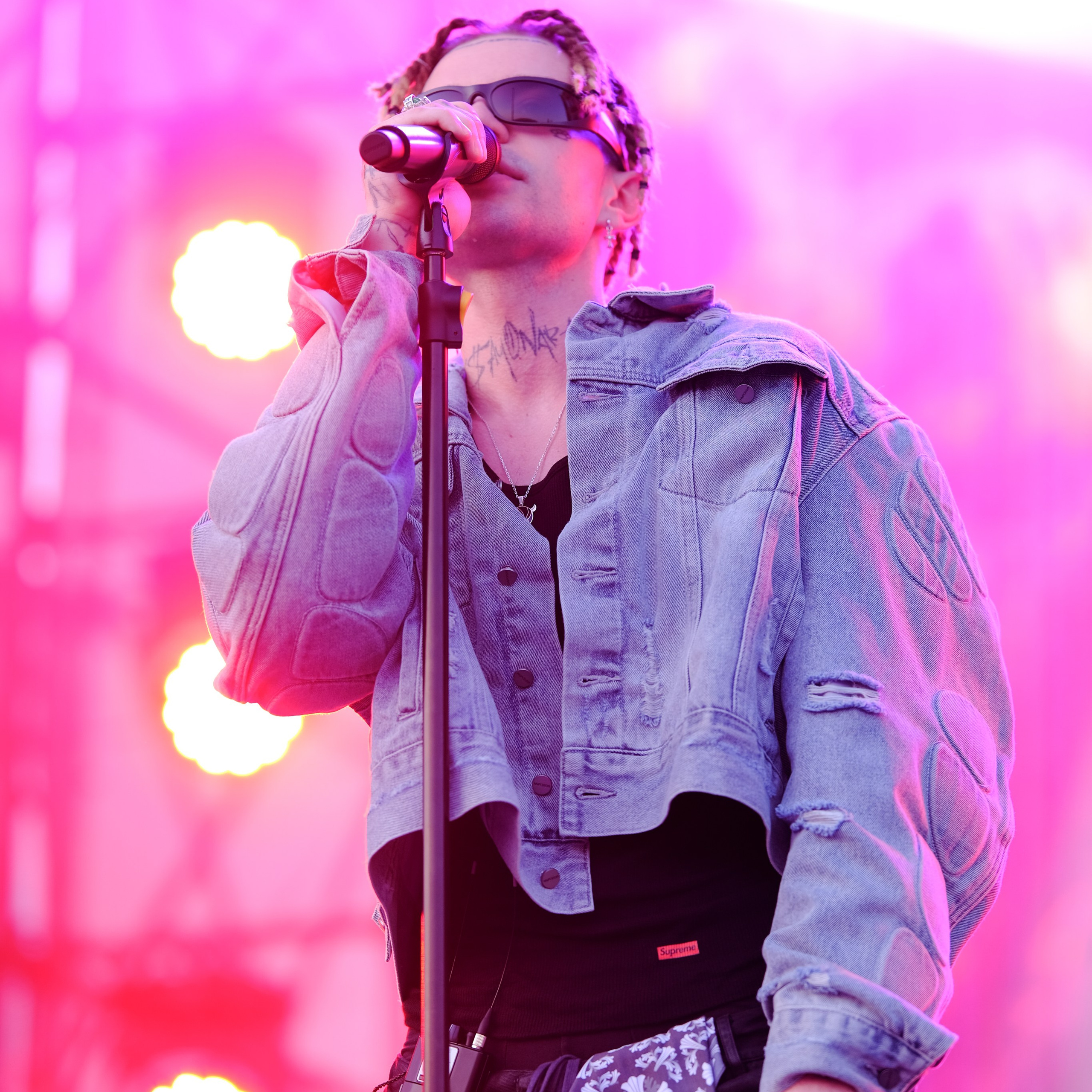 Черника Фест