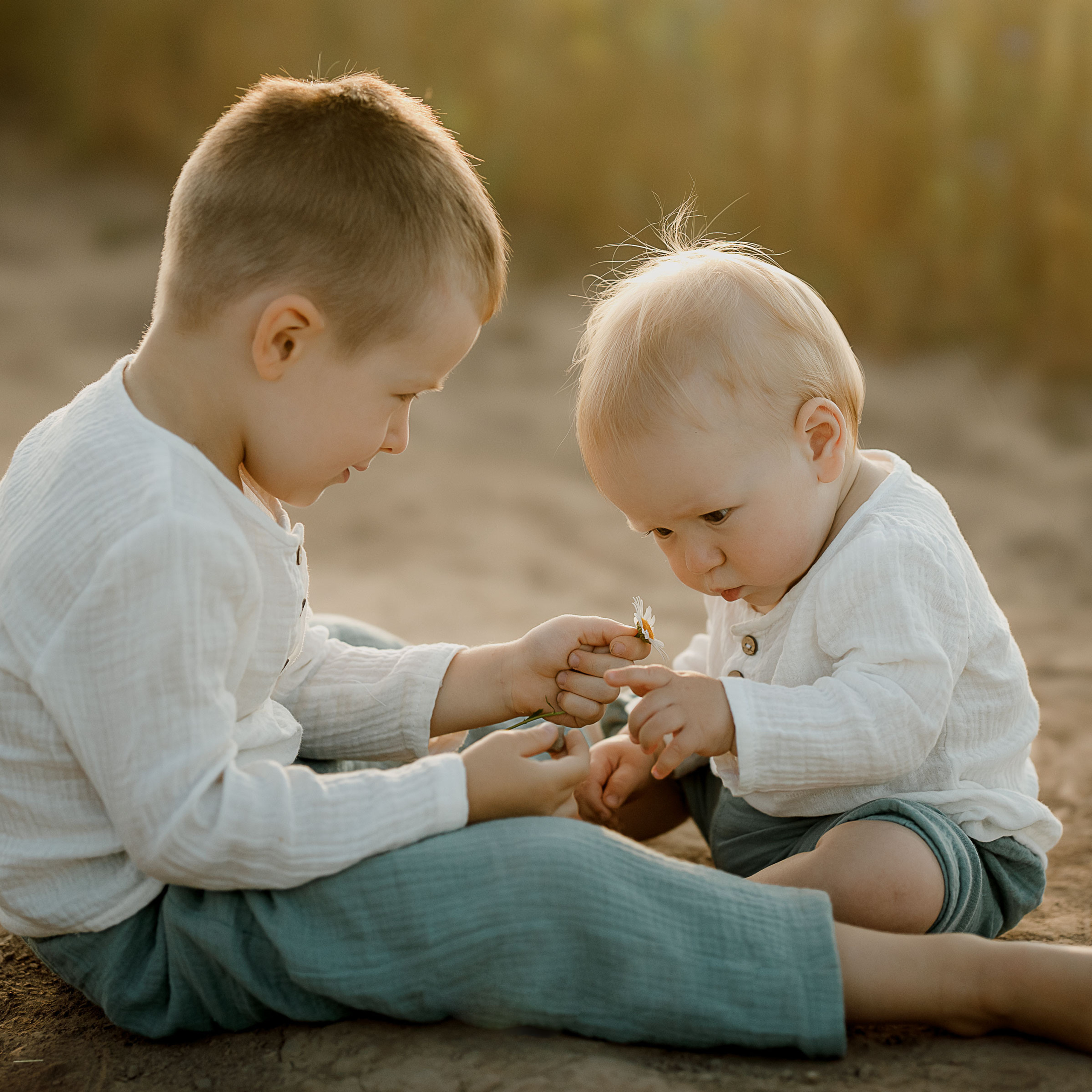 Глеб, Лена, Лев и Родя в полях