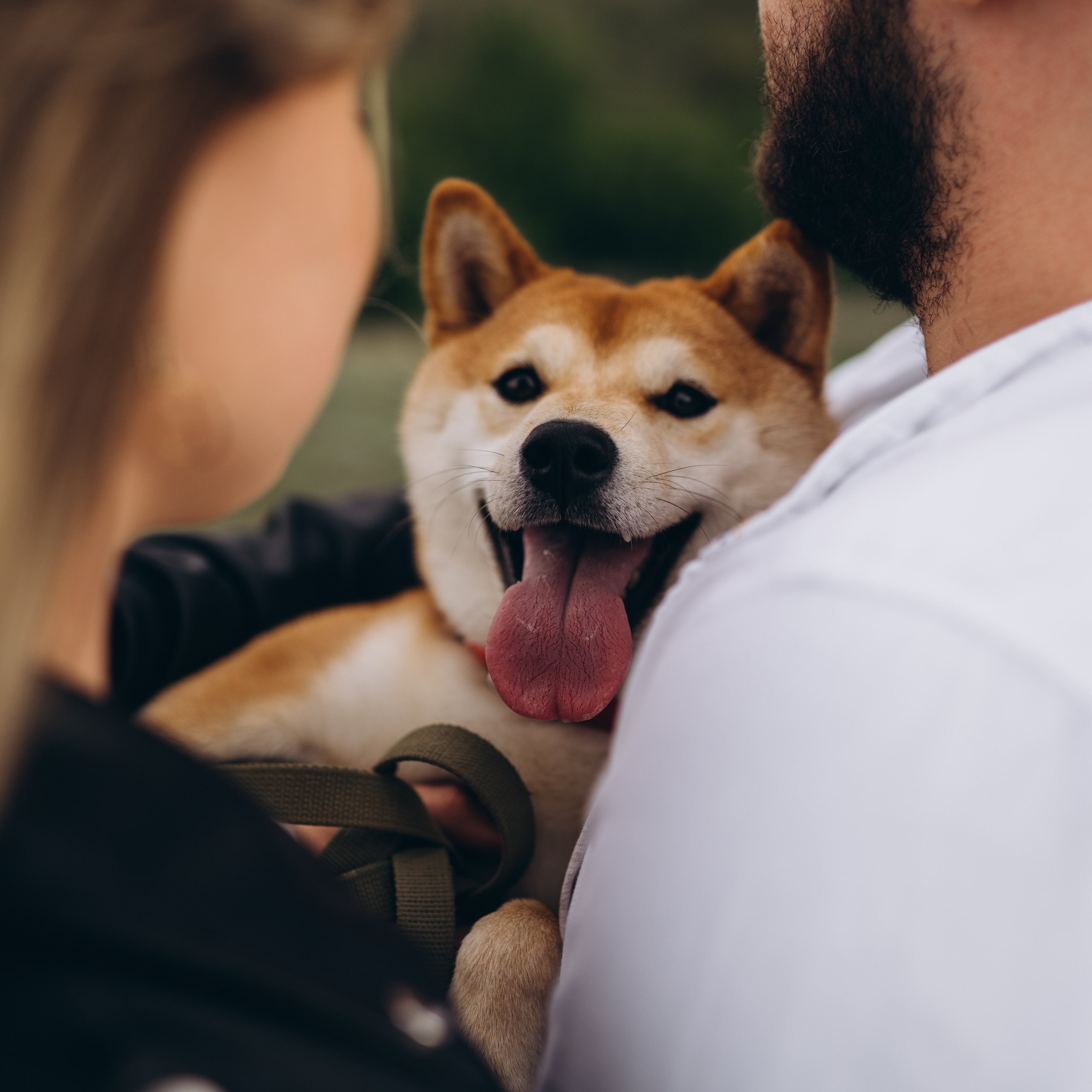 Отзывы. Фотограф в Саратове Максим Ветлицкий