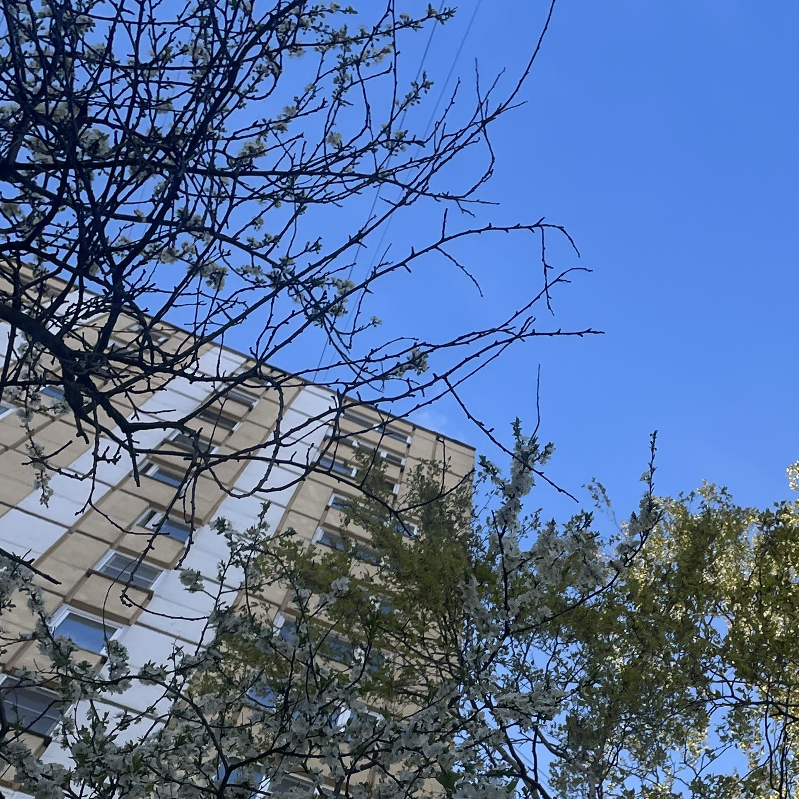 Пара хороших слов. Писатель и человек поддержки Вика Ли