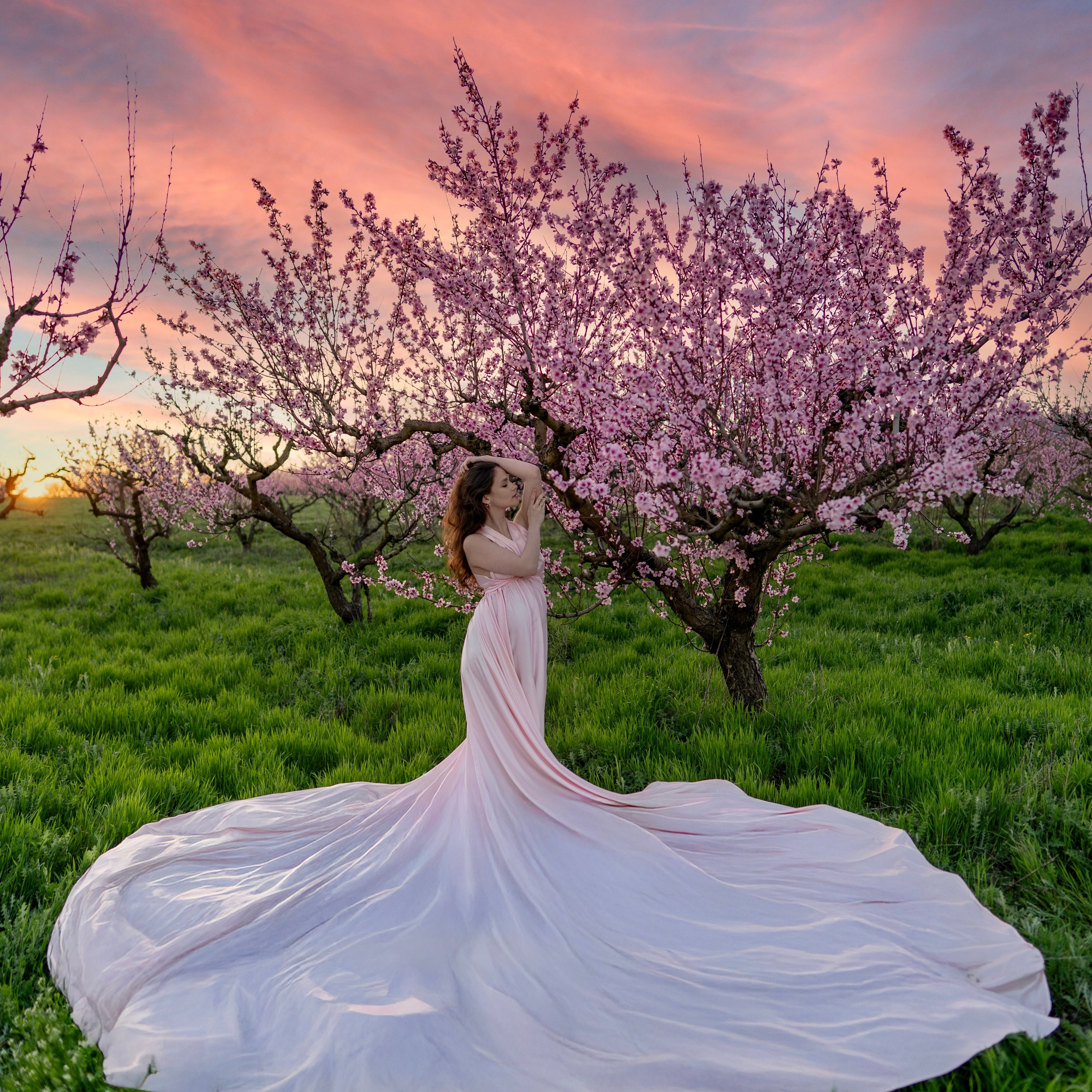 Розовое со шлейфом (s-l)