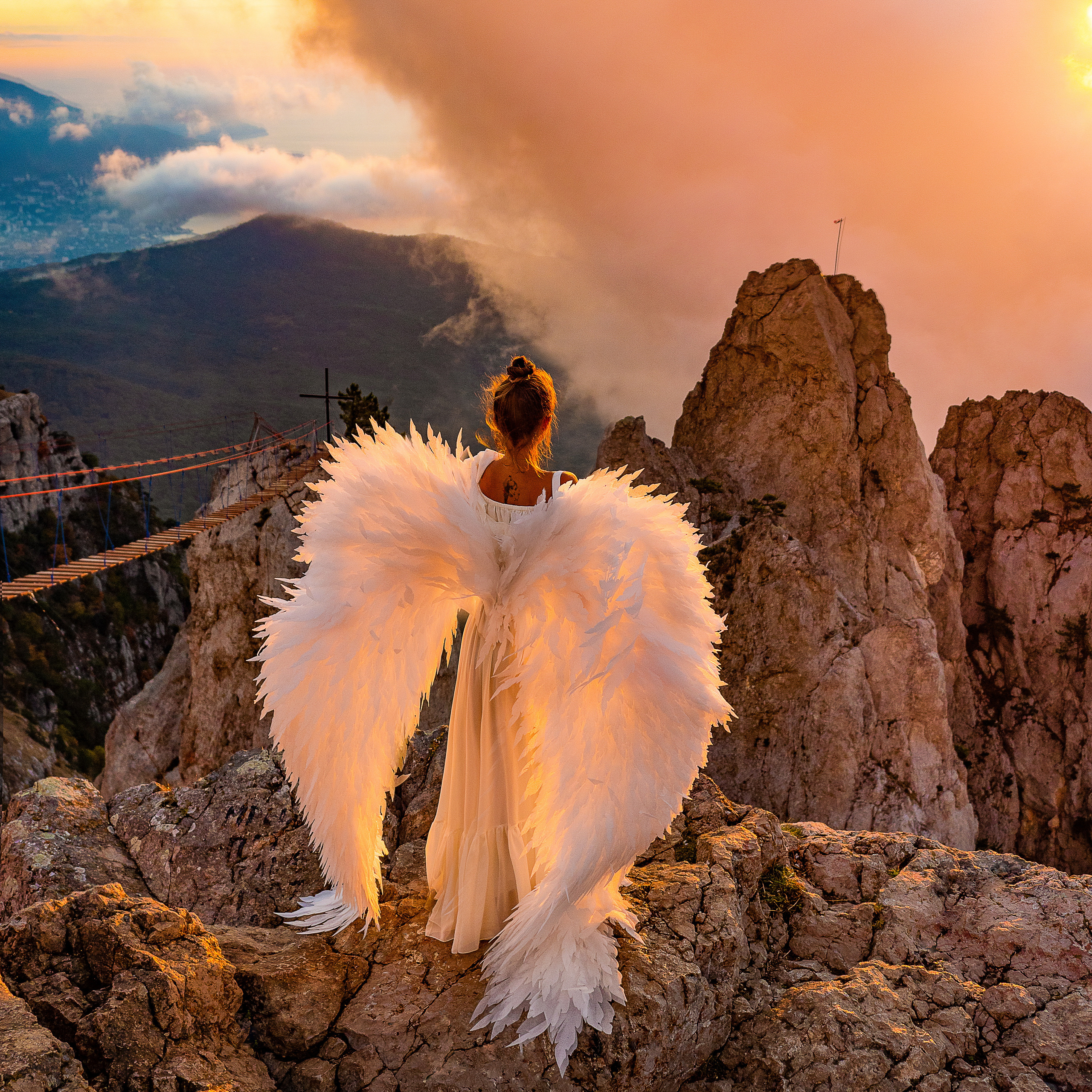 Крылья (аренда 3 т р)