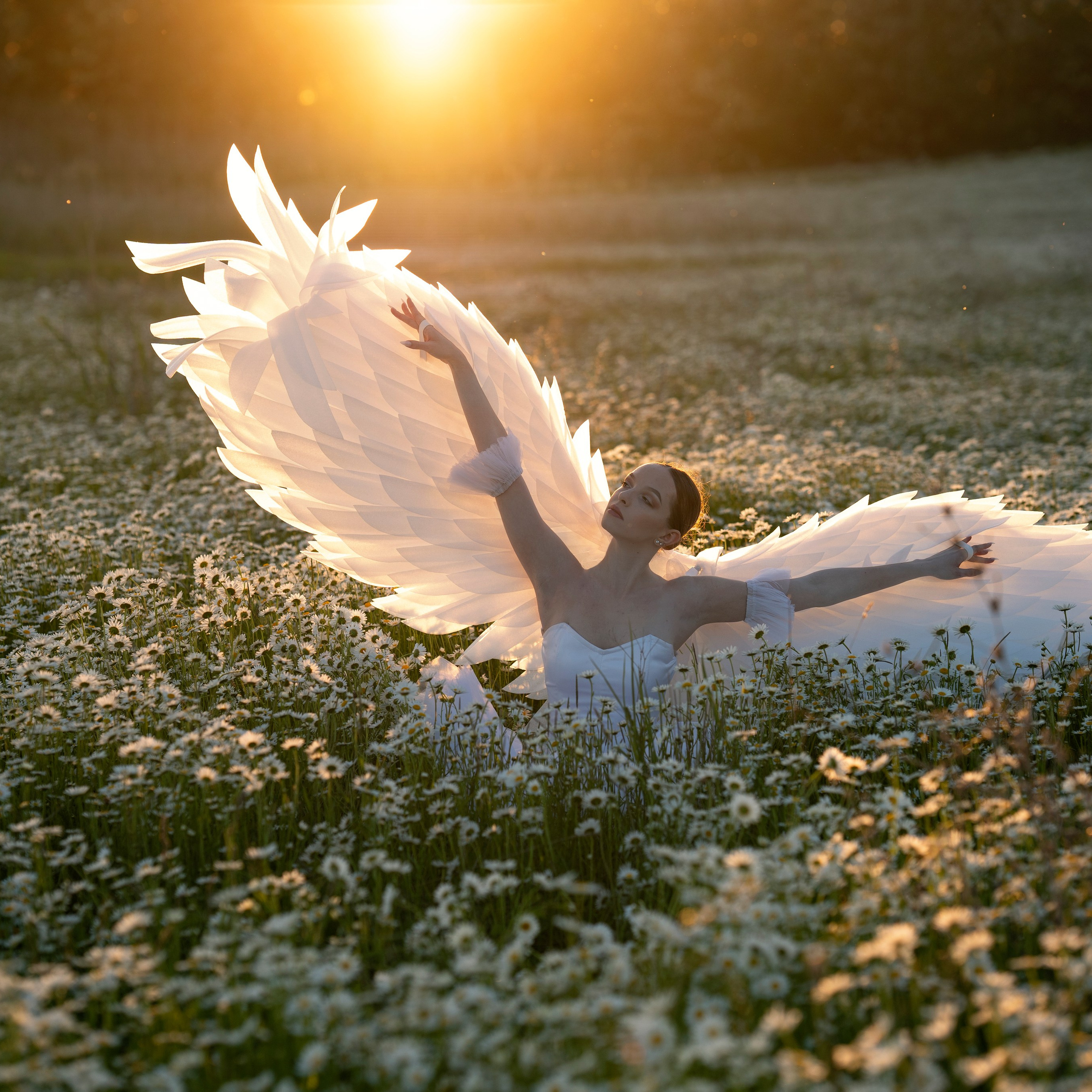 Крылья с подсветкой (3 т р)