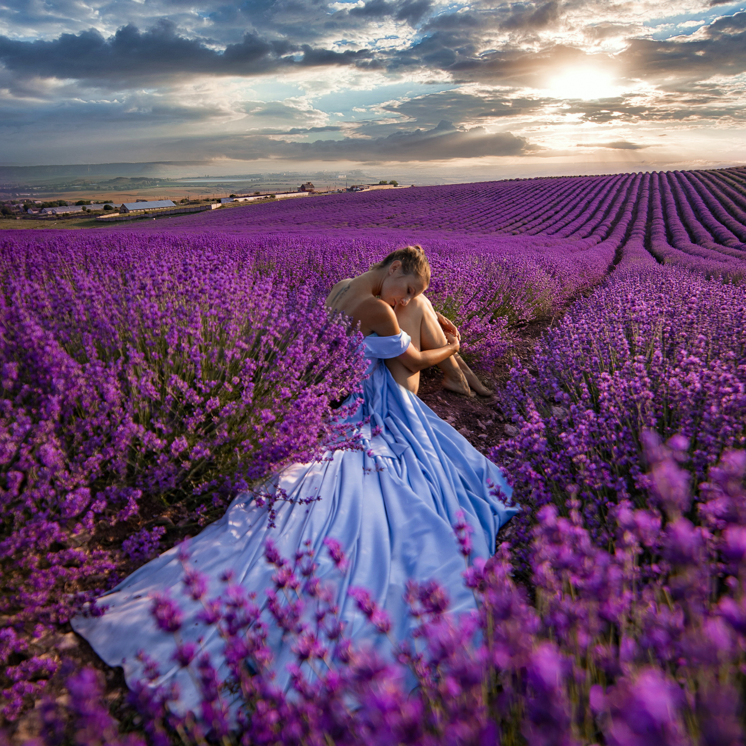 Лавандовое поле (Тургеневка)